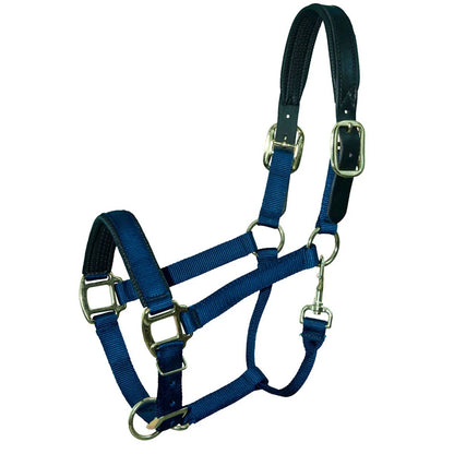 Intrepid Premium Nylon Breakaway Halter with Padded Crown/Nose