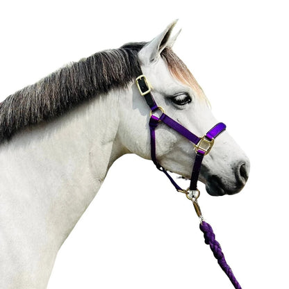 Intrepid Premium Nylon Breakaway Halter with Padded Crown/Nose