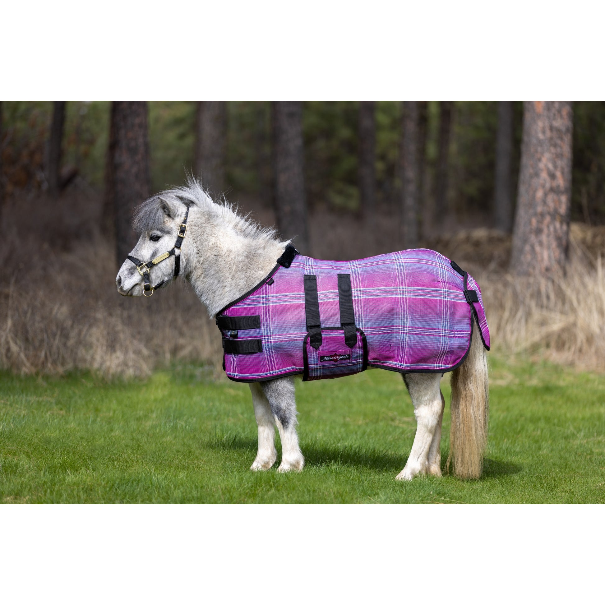 Kensington Protective Sheet Mini