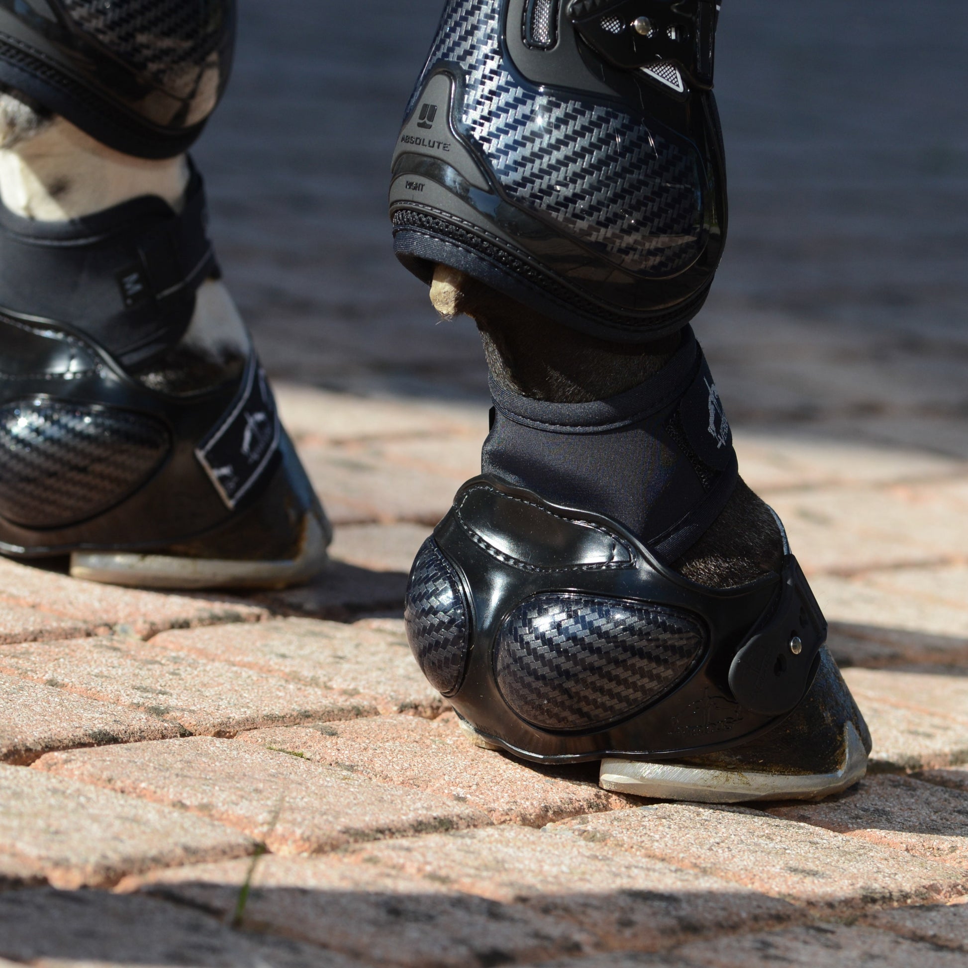 Veredus Carbon Shield Overreach Boots