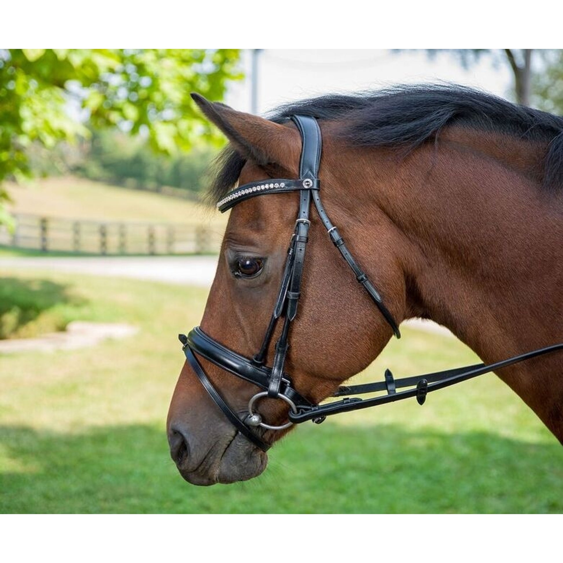 Henri de Rivel Diamonte Dressage Bridle