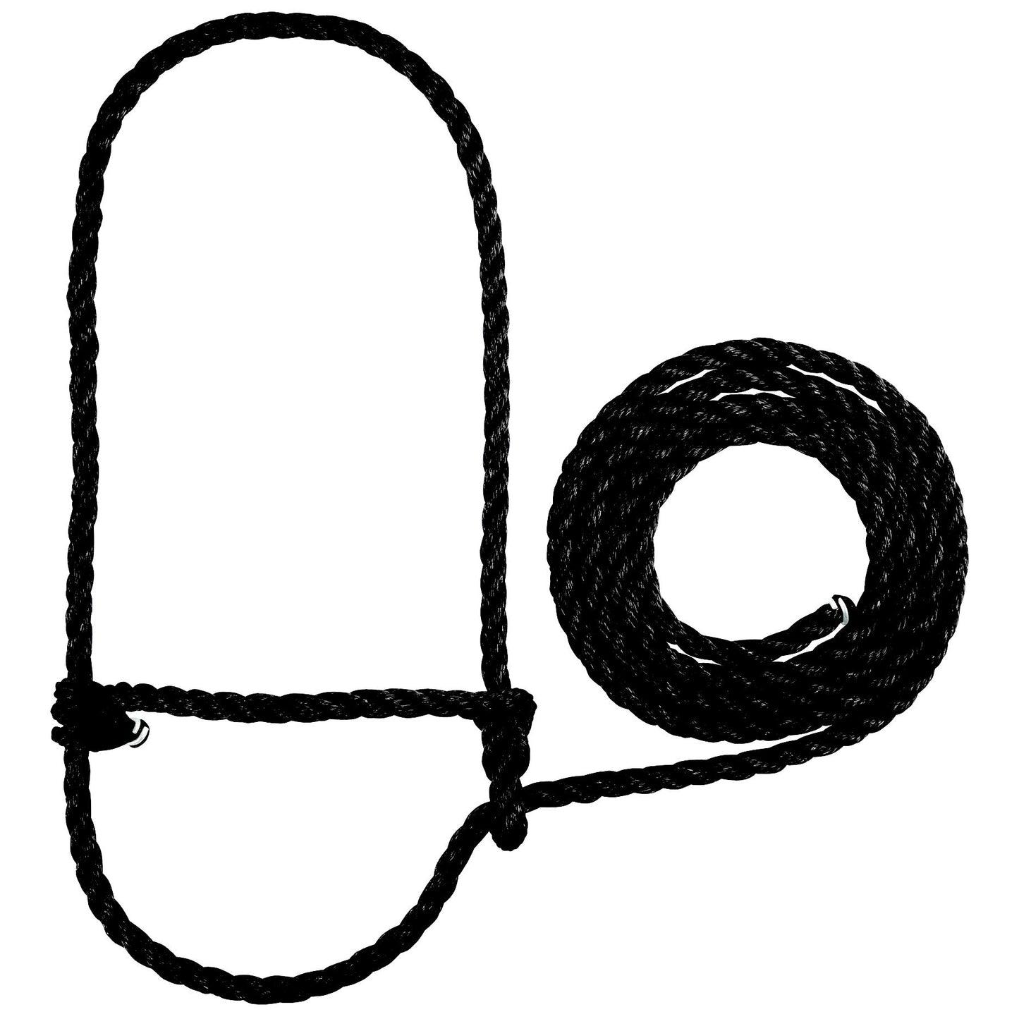 5-562464.jpg