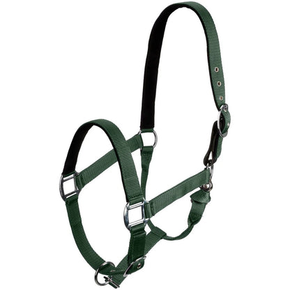 Centaur Solid Cushion Padded Breakaway Halter