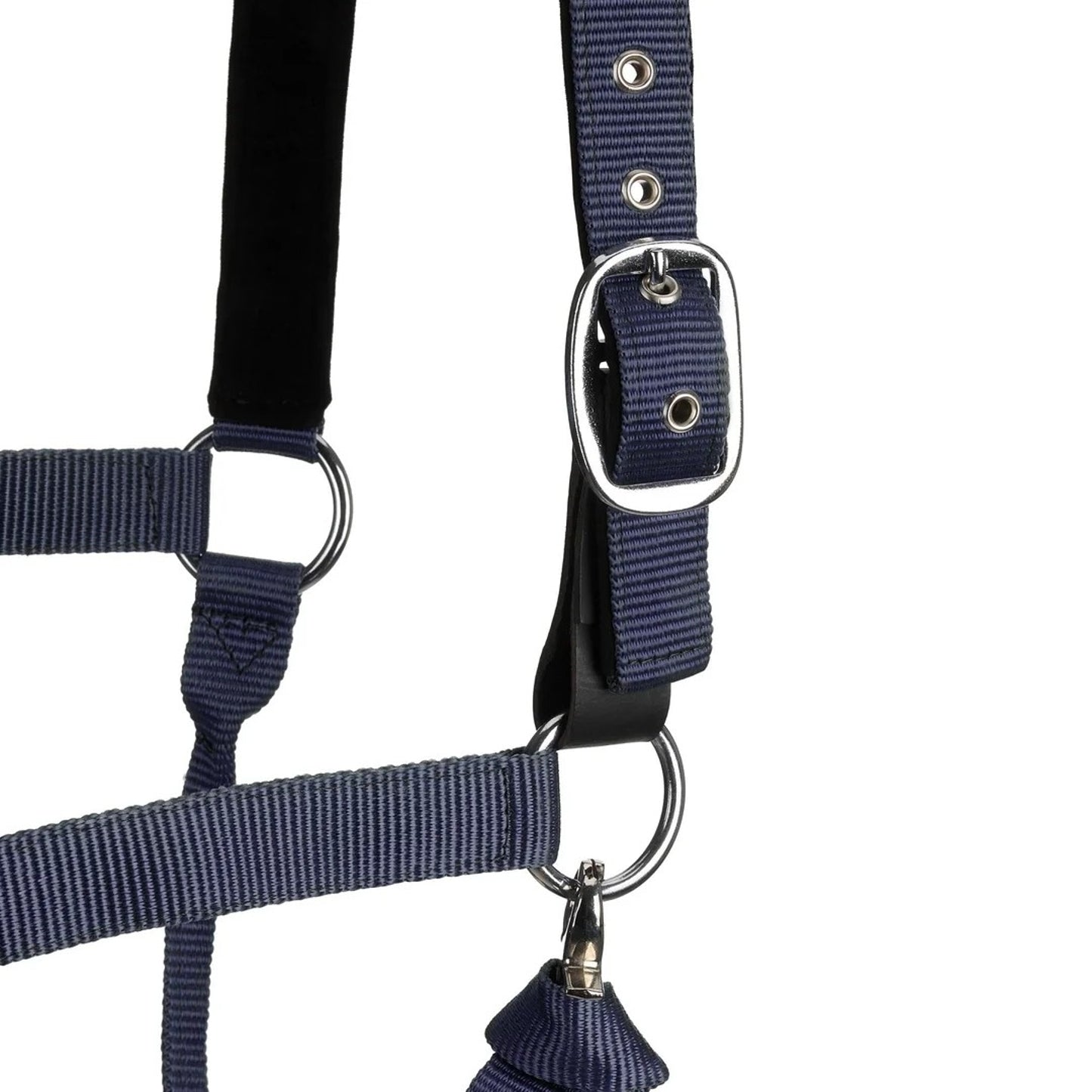 5-656237-2.jpg