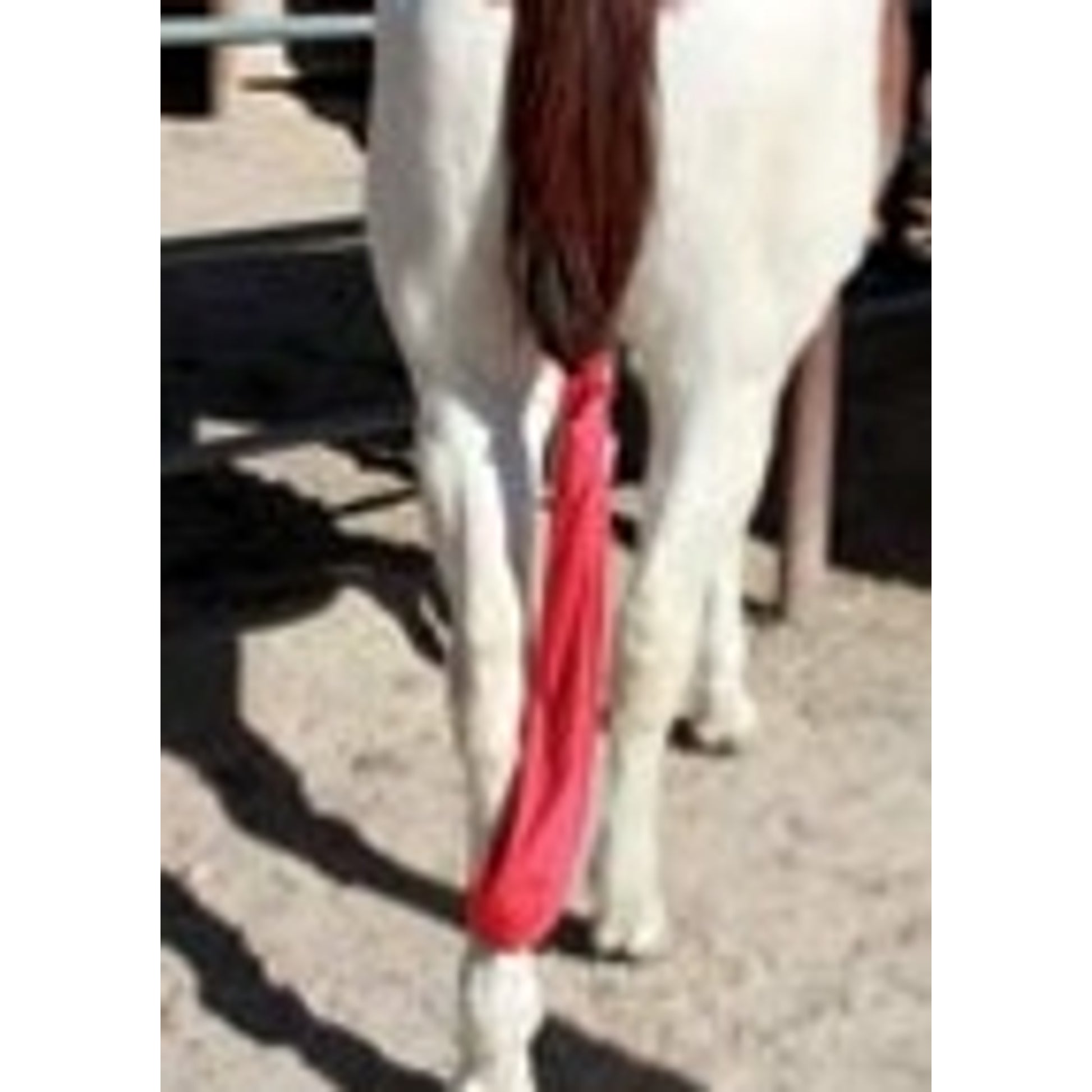 Tail Tamer Lycra Tail Bag Hot Pink