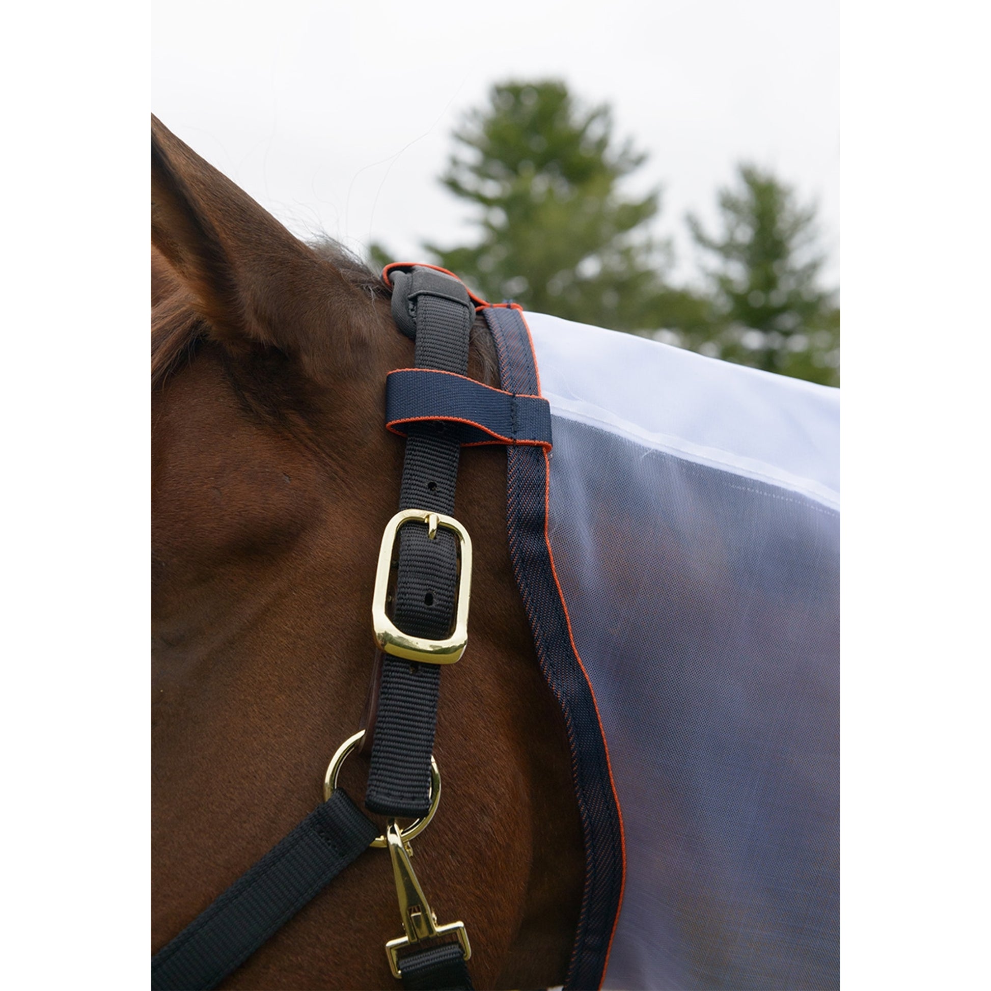 Shires Highlander Fine Mesh Fly Sheet Set