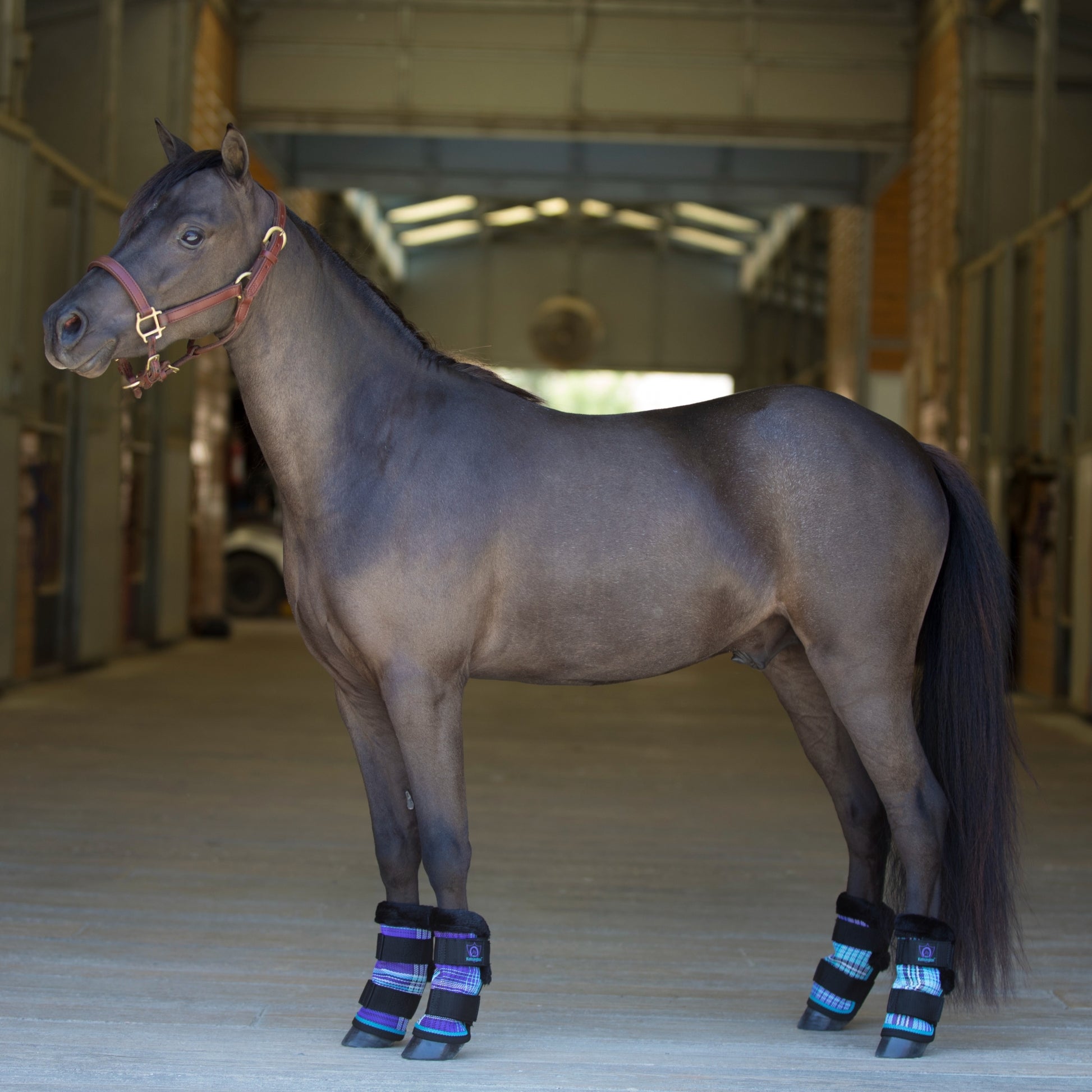 Kensington Mini Fly Boots