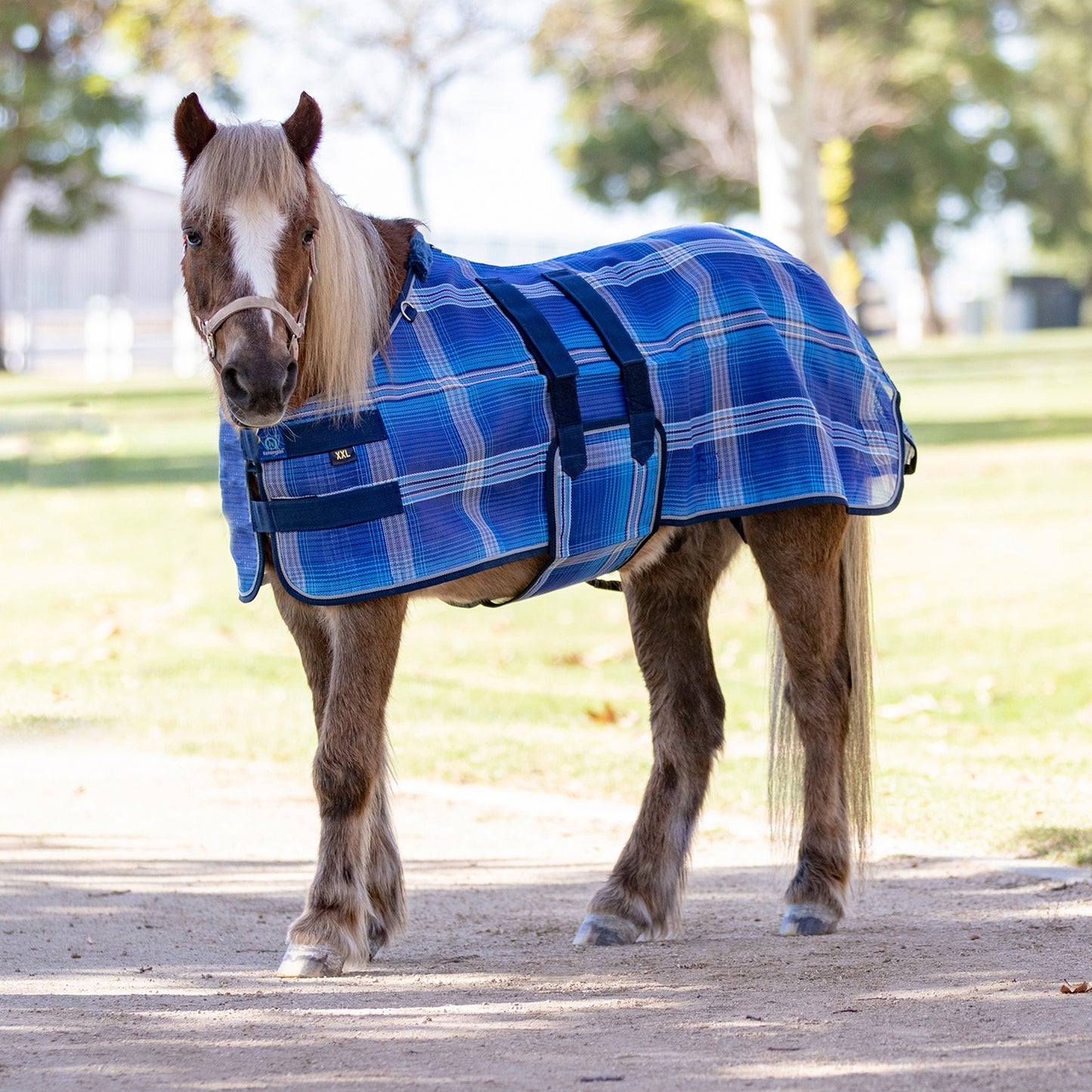 5-958393-01.jpg