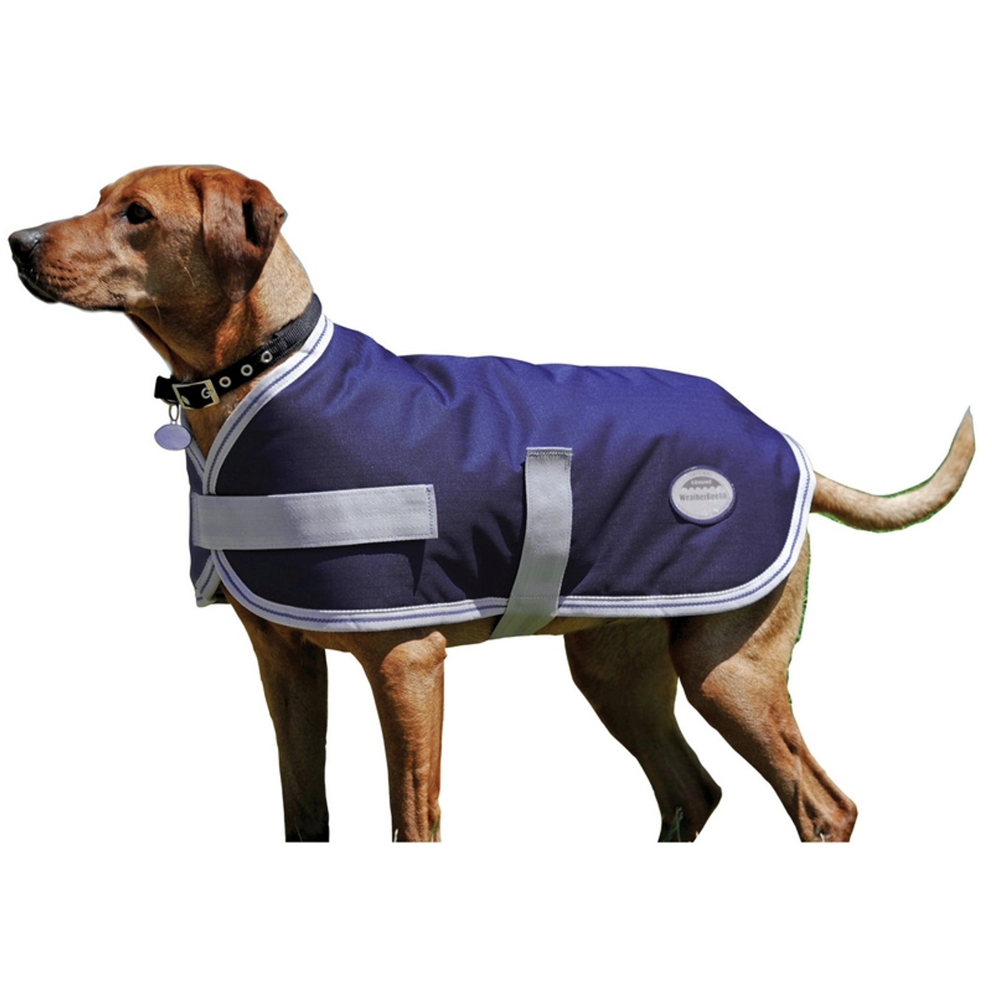 Weatherbeeta Landa Lite Dog Blanket