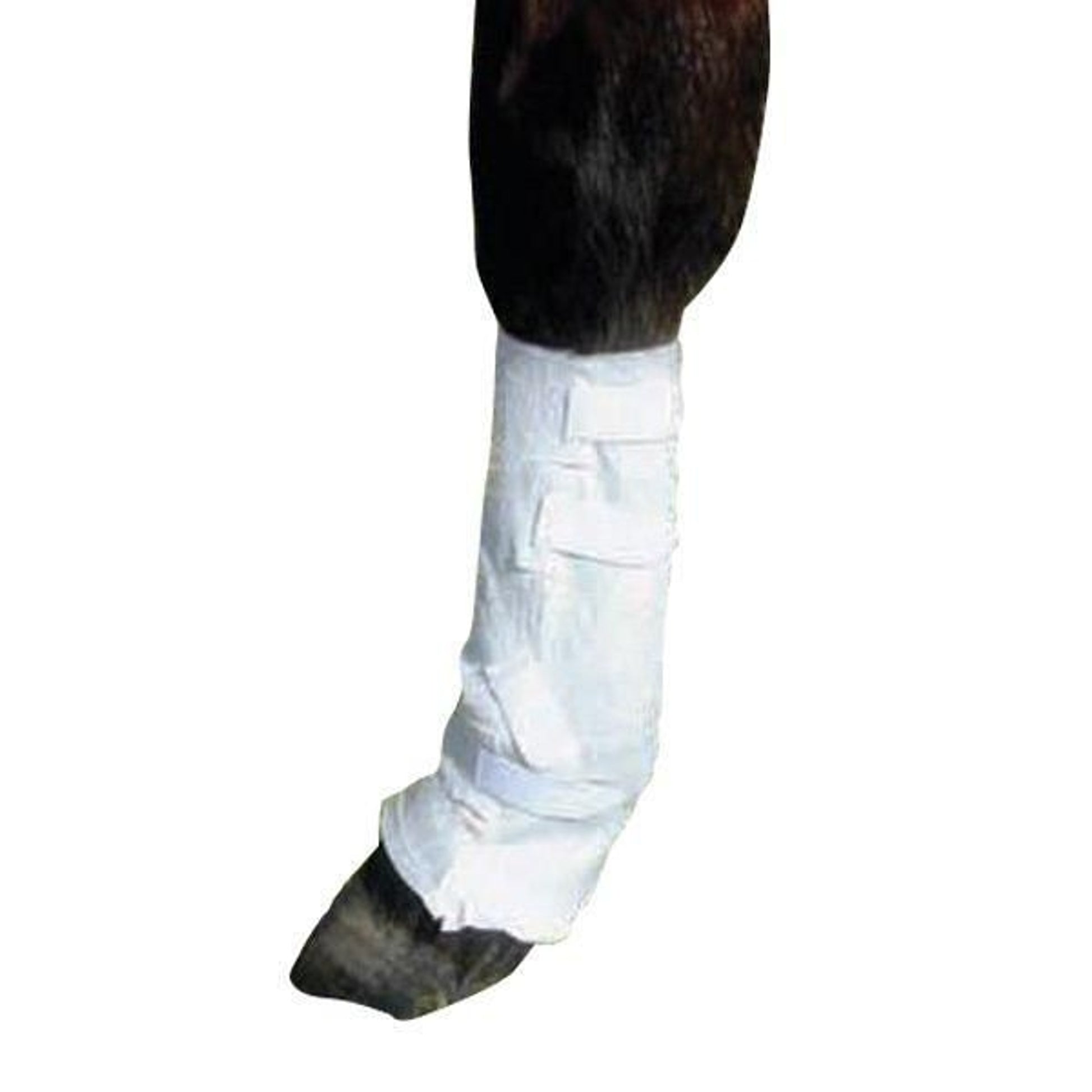 Tapeless Dressing System - Back Lower