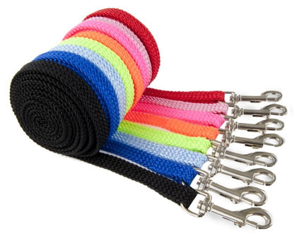 Rainbow Nylon Puppy Lead