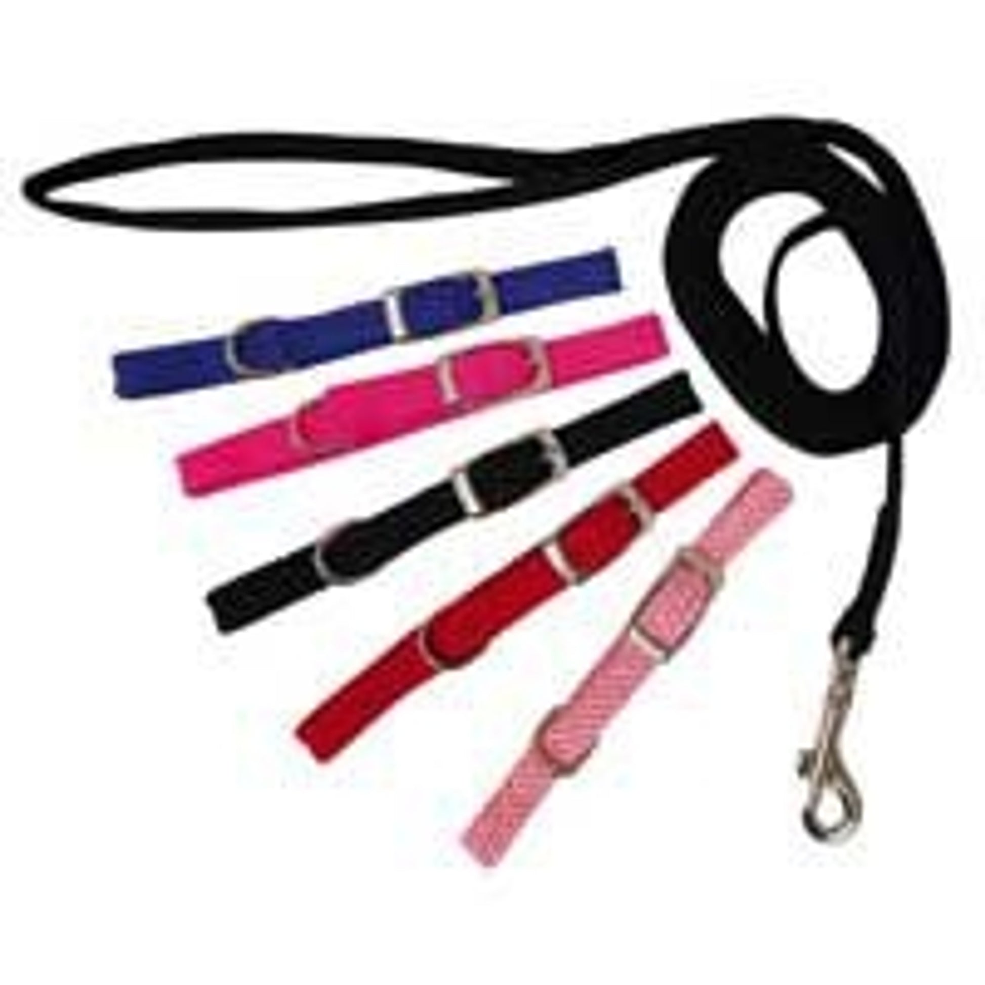 Rainbow Nylon Puppy Lead