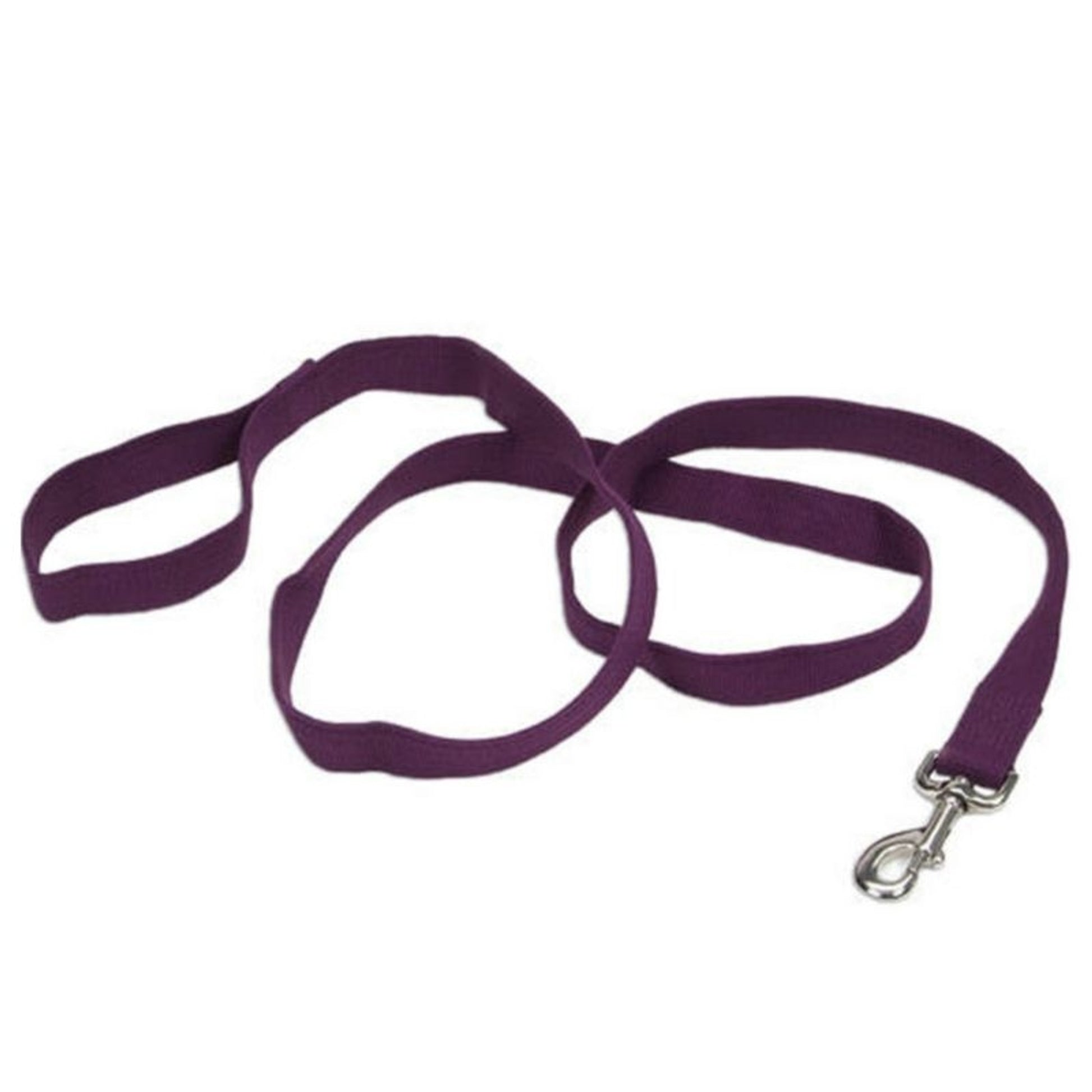Personalized Soy Dog Lead