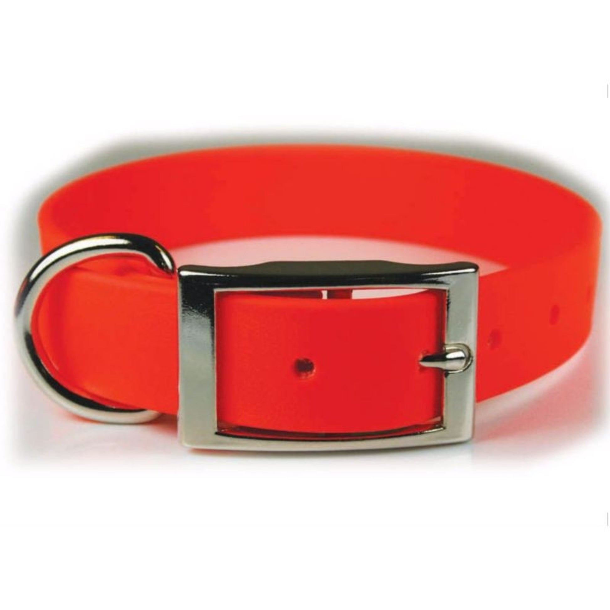 Zeta Poly Vinyl Coated Dog Collar