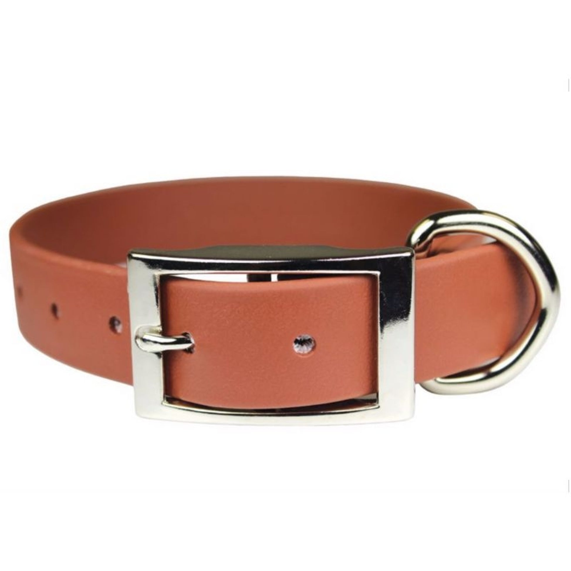 Zeta Poly Vinyl Coated Dog Collar