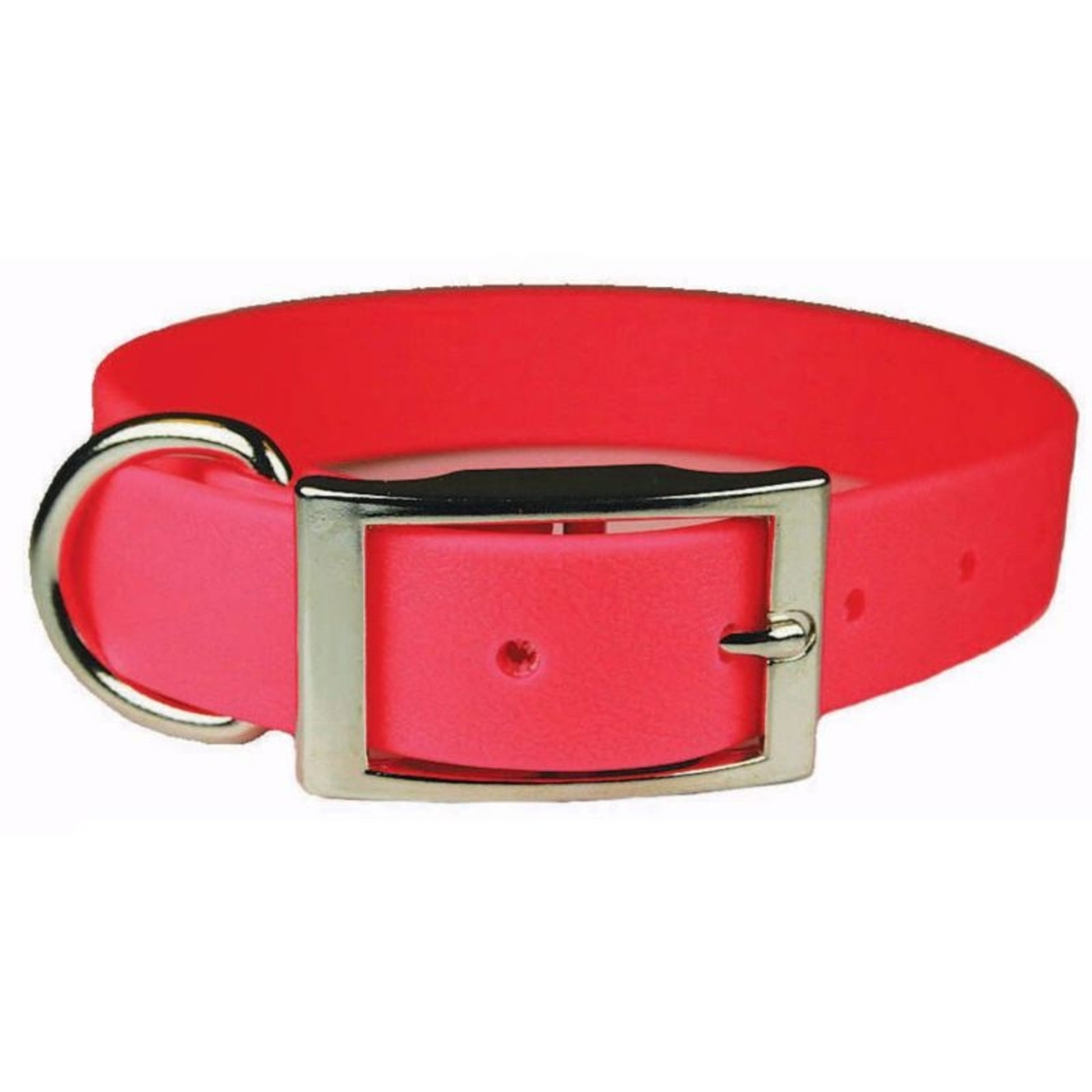 Zeta Poly Vinyl Coated Dog Collar