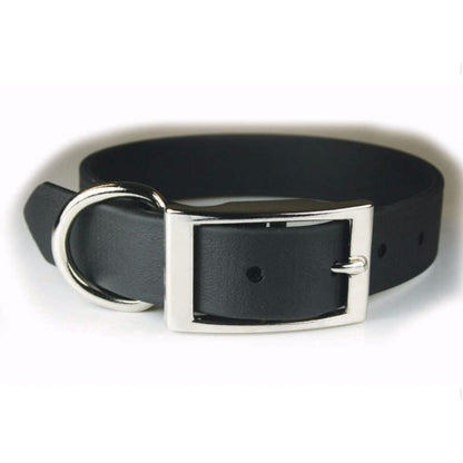 Zeta Poly Vinyl Coated Dog Collar