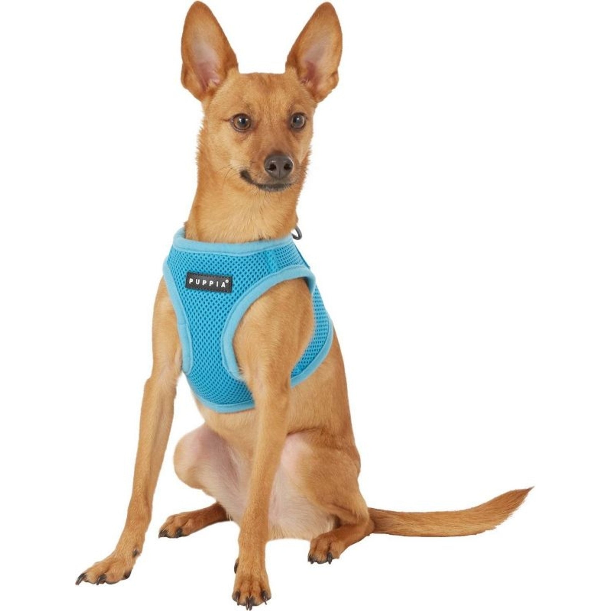 Puppia Soft Dog Harness Vest