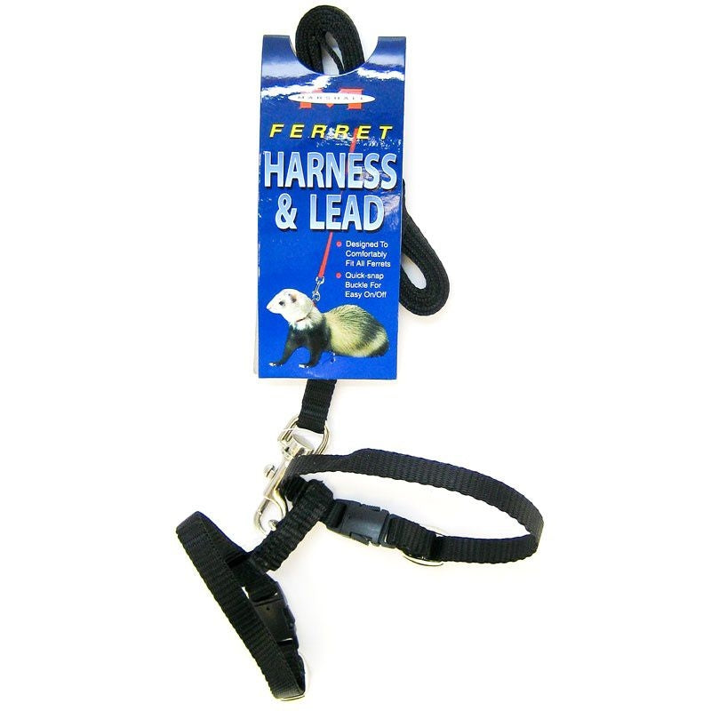 Marshall Ferret Harness And Lead Combo