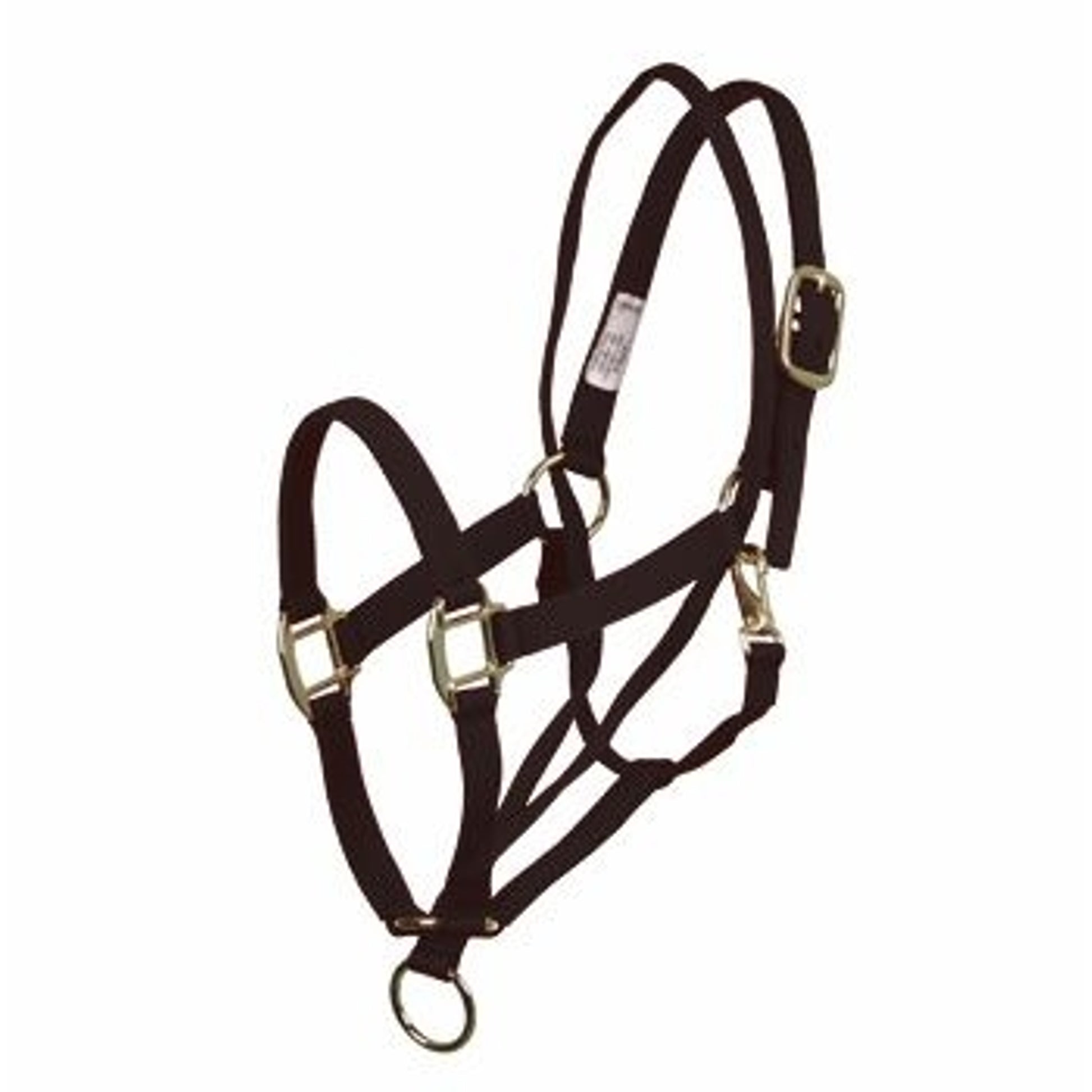 Basic Pull Back Training Halter