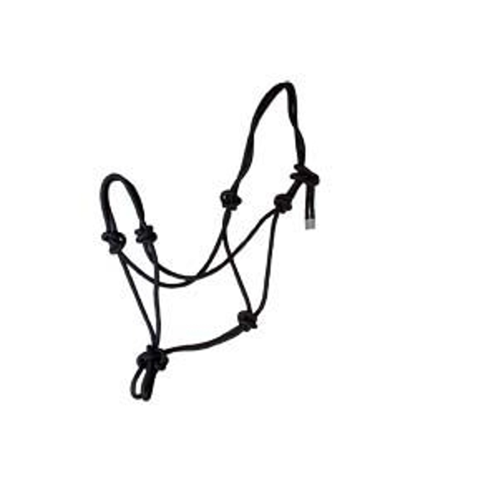 Basic Poly Rope Halter