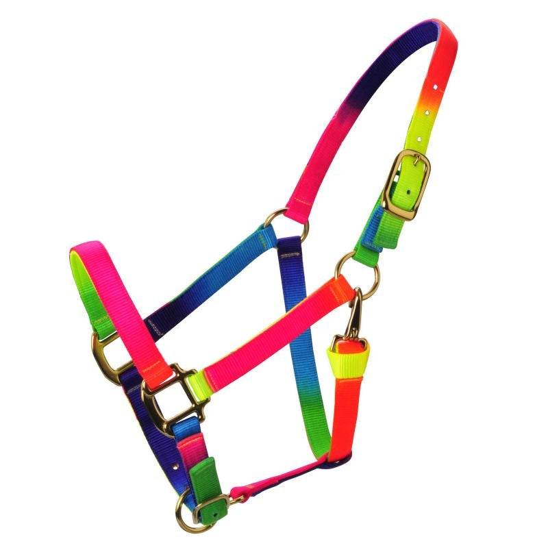 Deluxe Rainbow Adjustable Nylon Halter with Snap