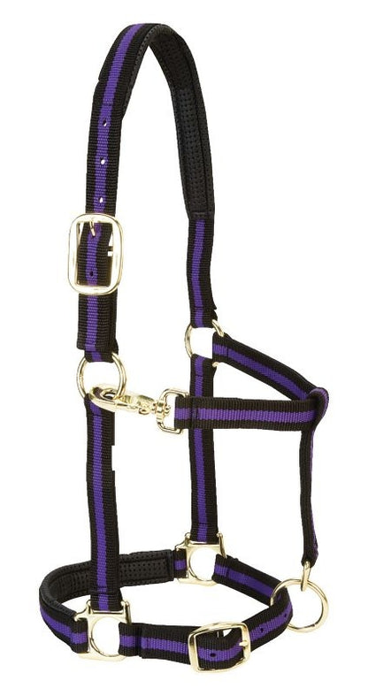 Weaver Leather Padded Adjustable Halter