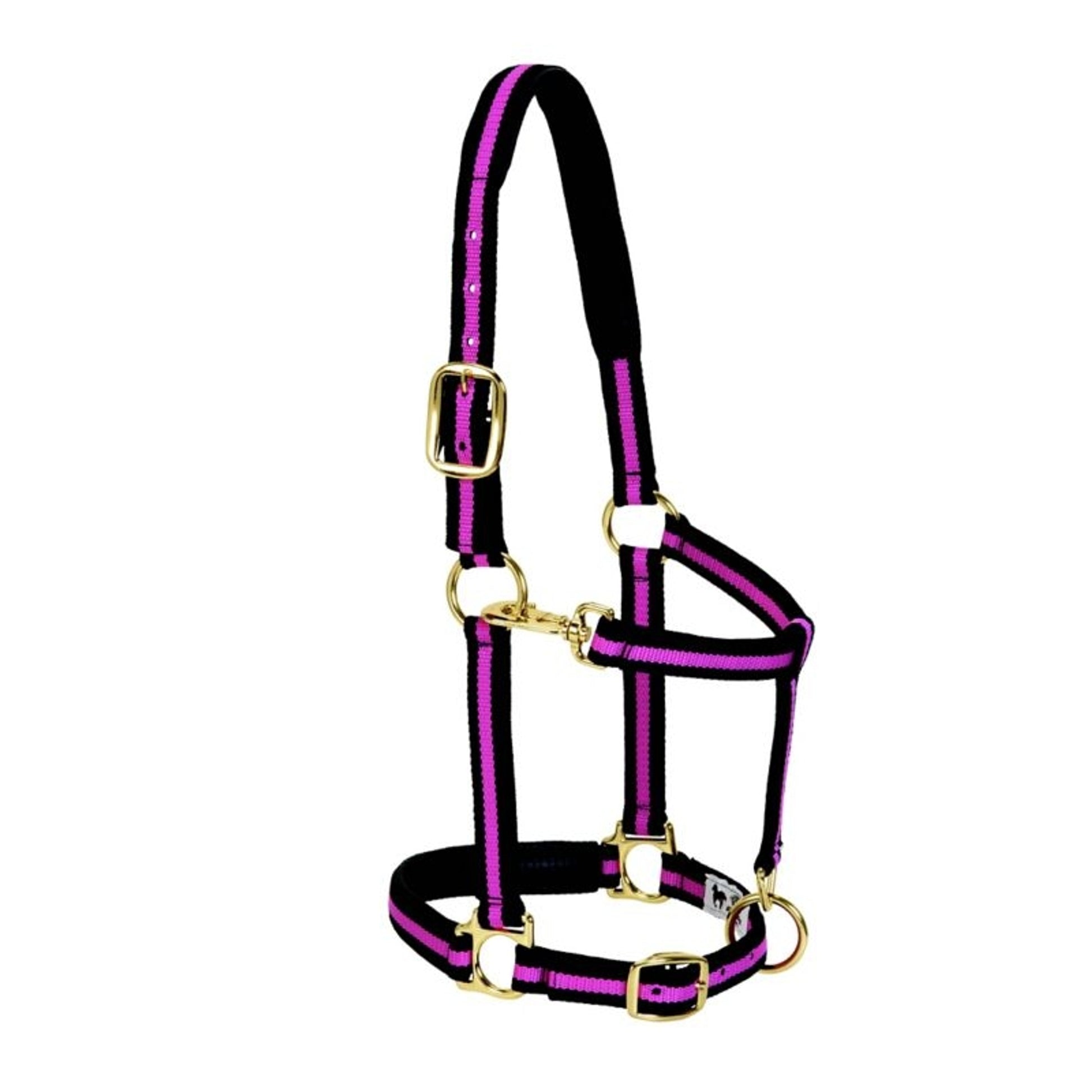 Weaver Leather Padded Adjustable Halter