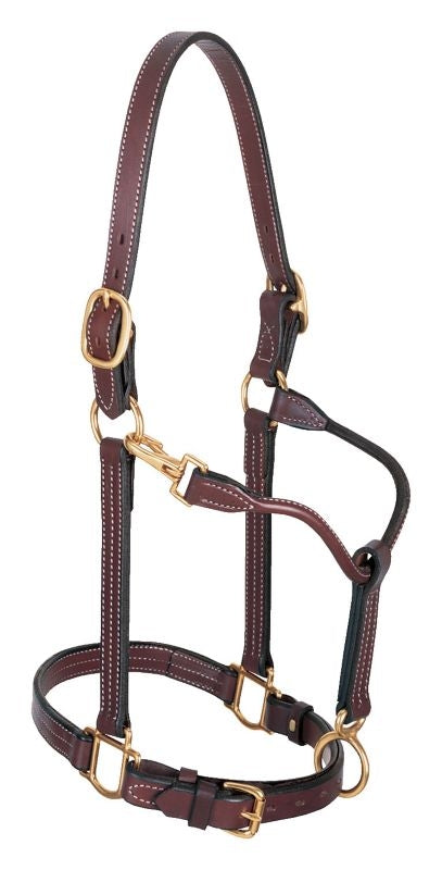 Weaver 1in Leather Track Halter