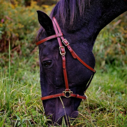 Tory Halter Trail Bridle