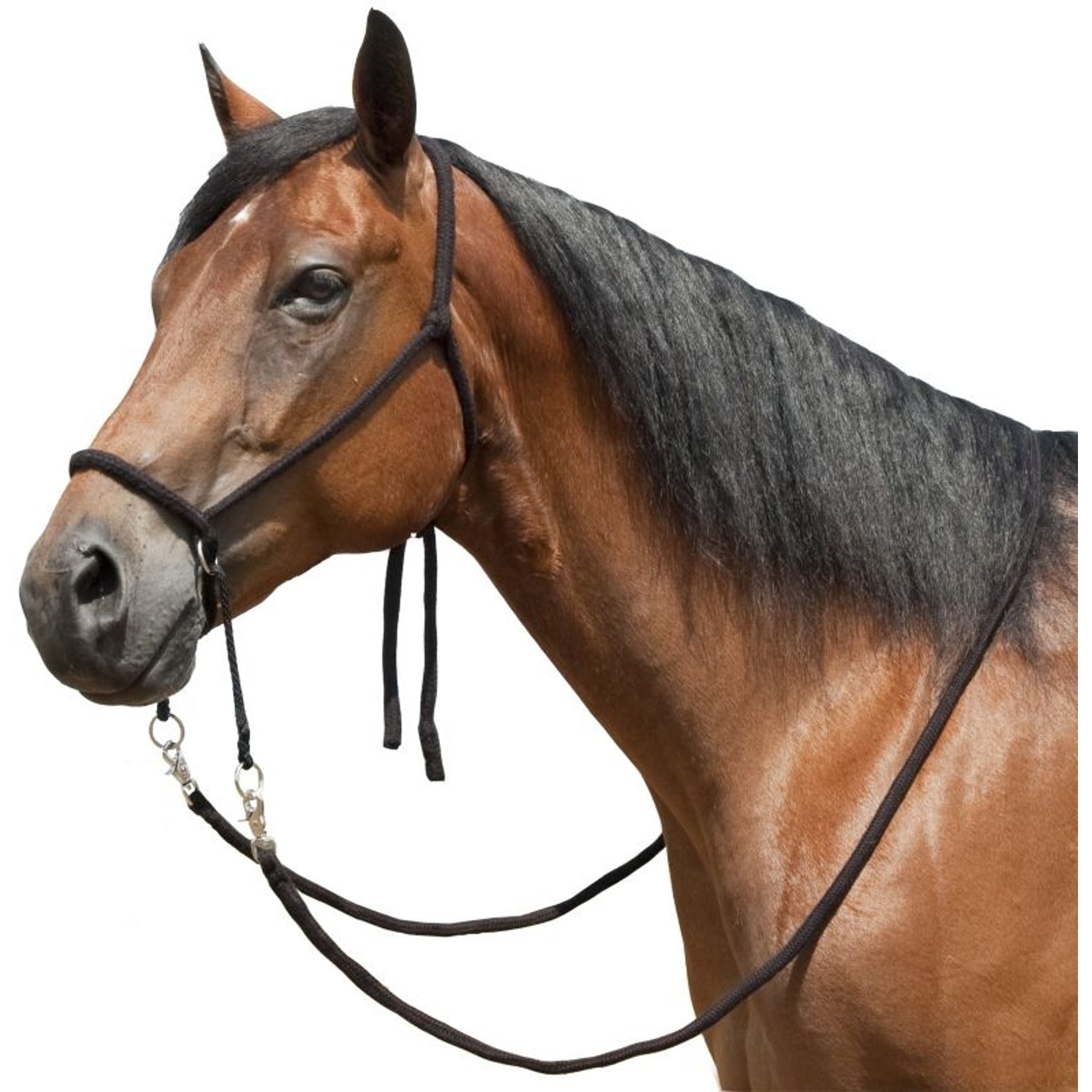 Mustang Nylon Bitless Bridle with Reins