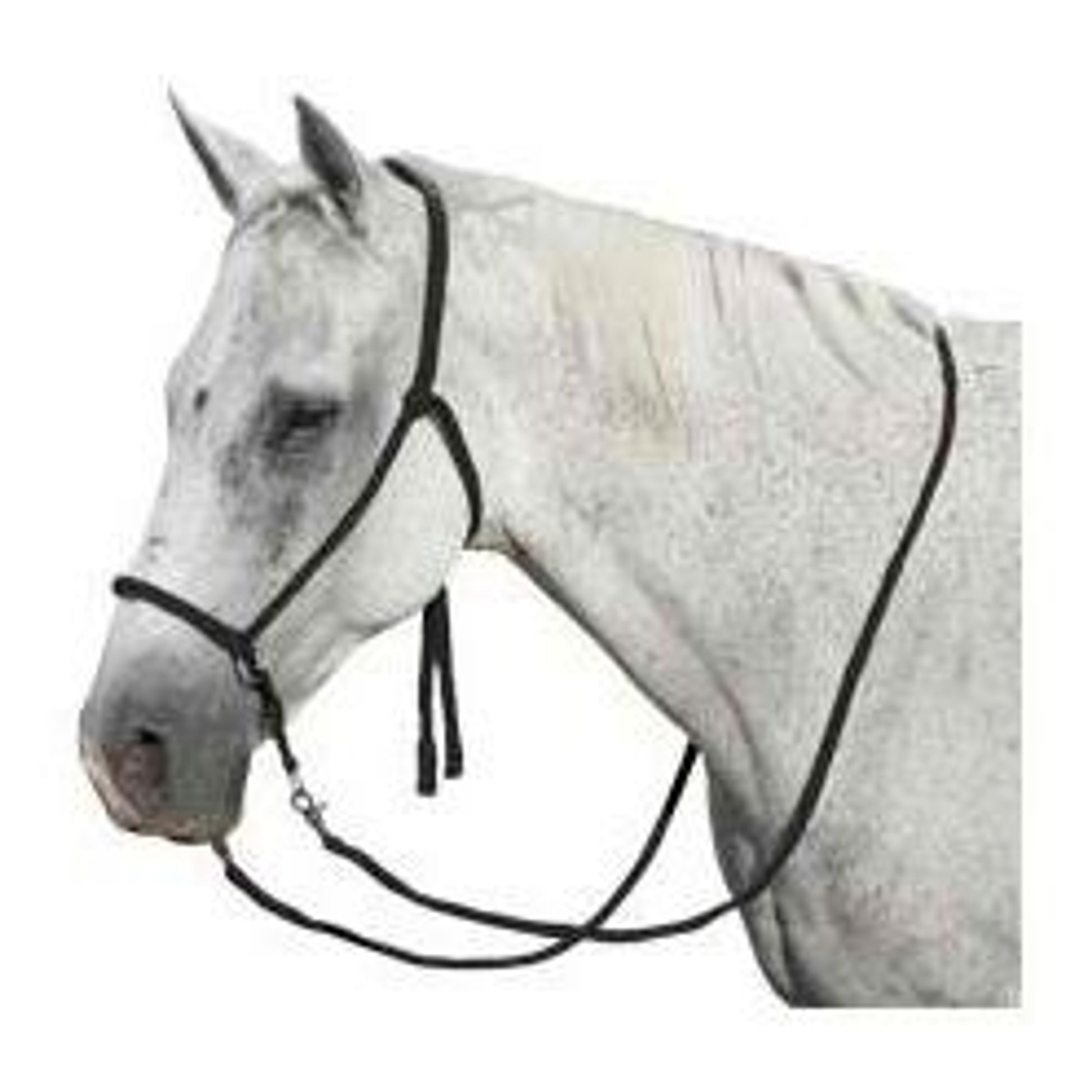 Mustang Nylon Bitless Bridle with Reins