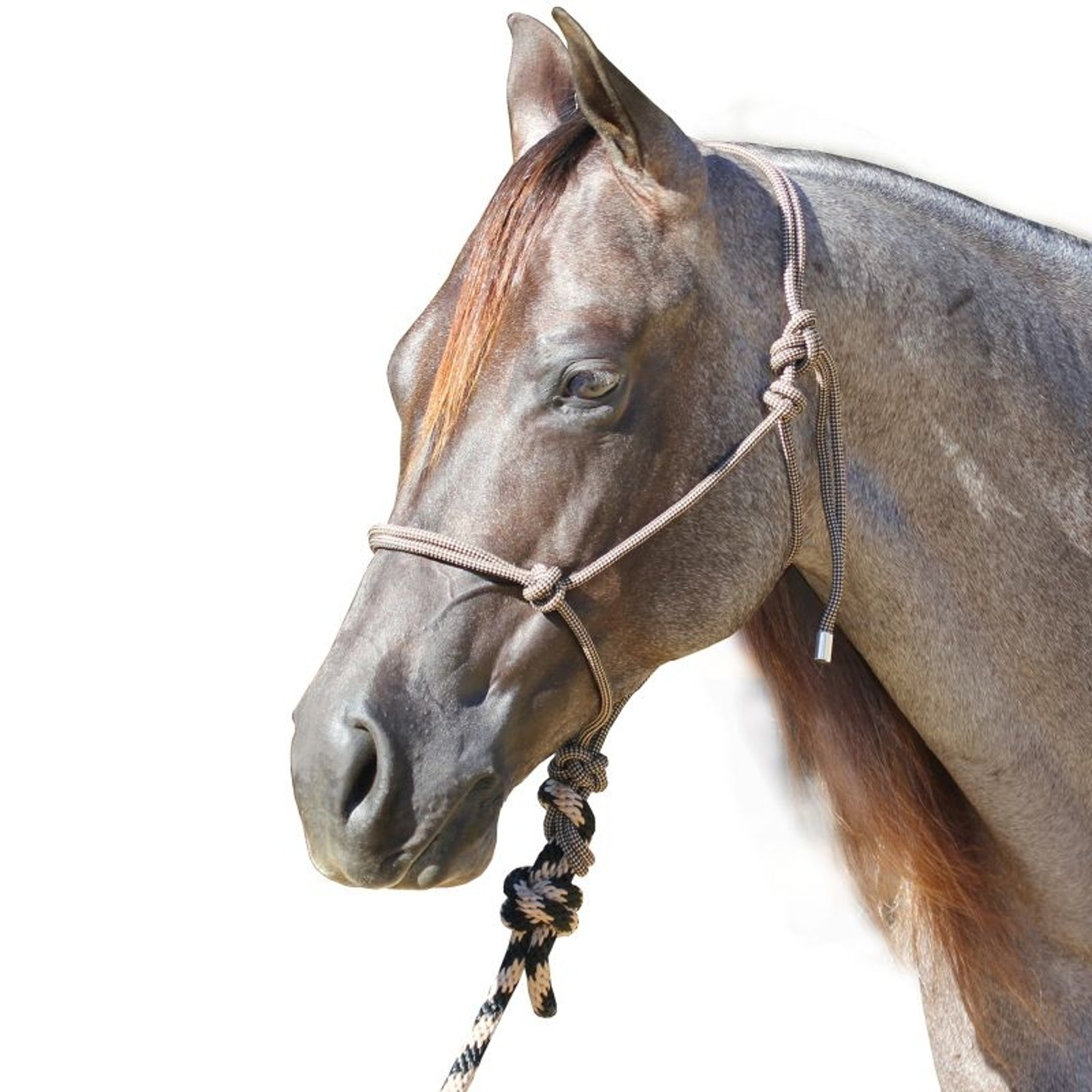 Professionals Choice Rope Halter with Lead