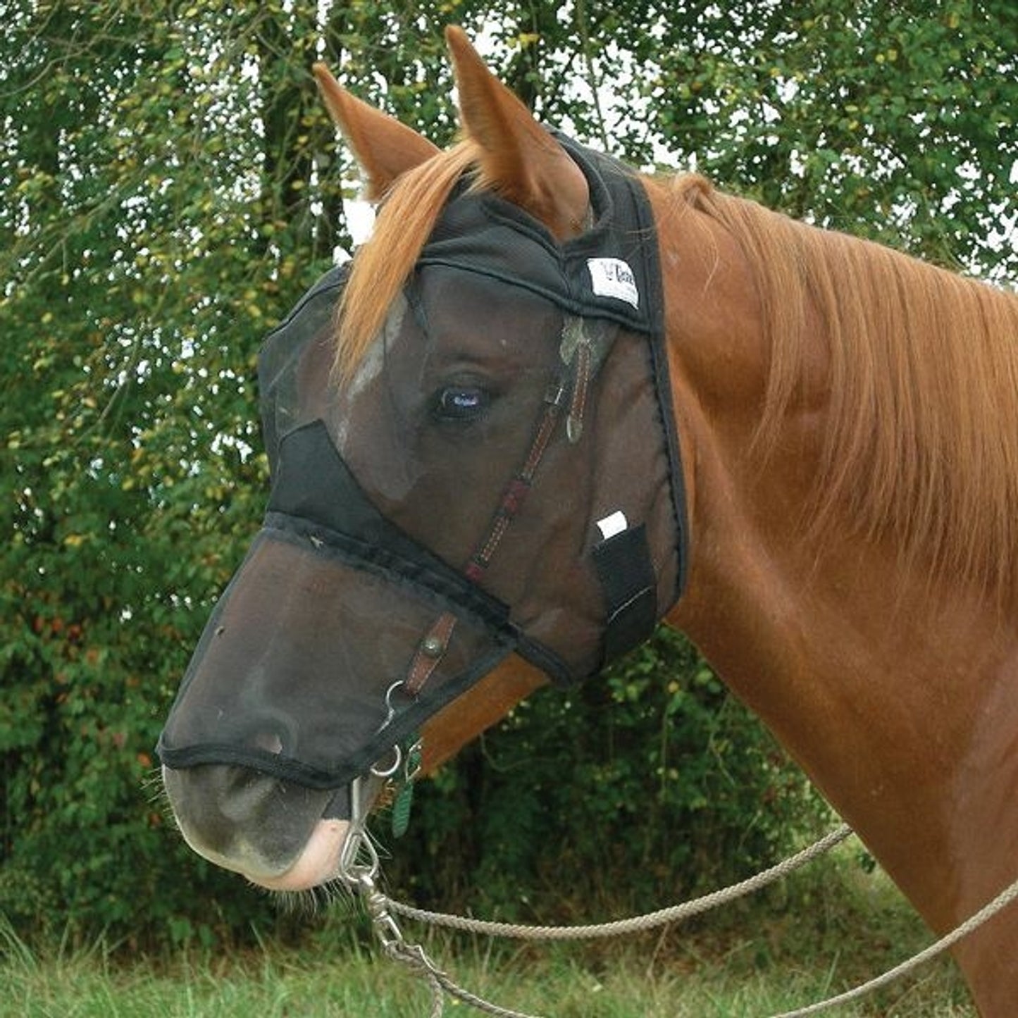 TE002182.jpg