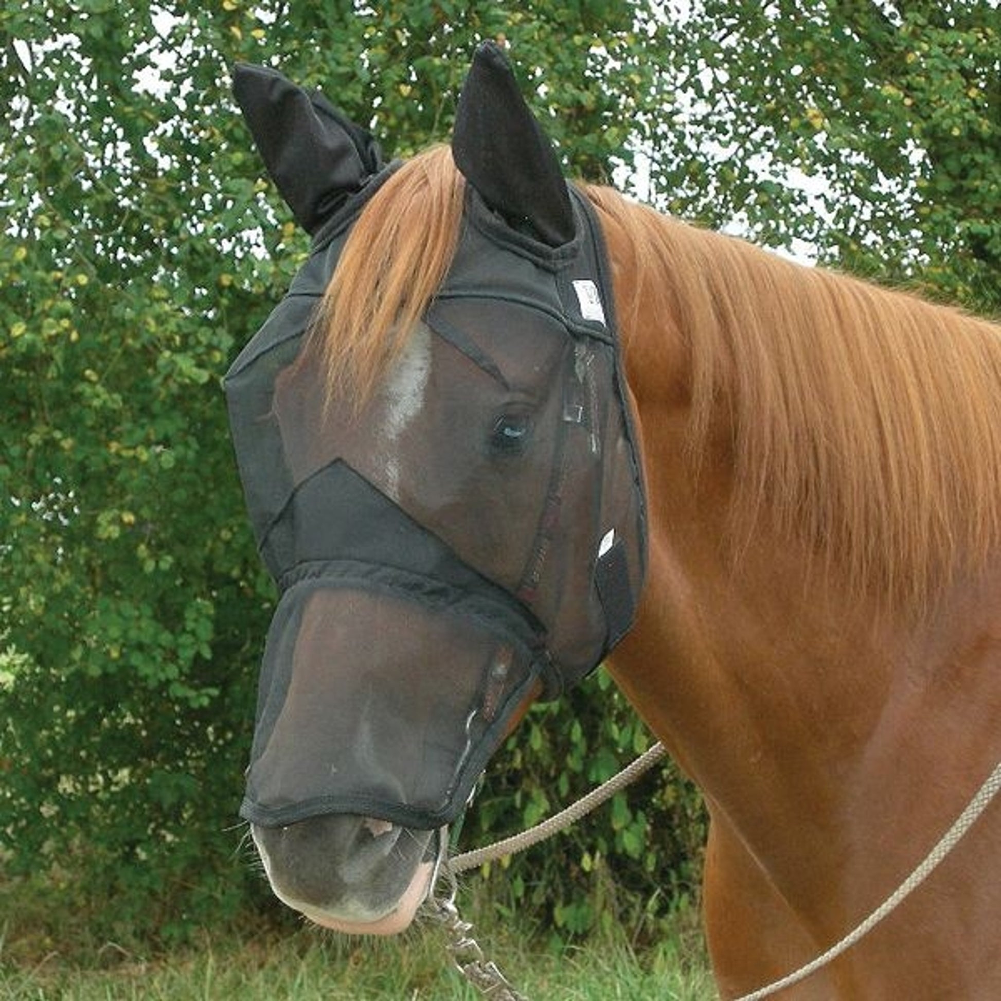 Cashel Quiet Ride Extended Nose Fly Mask with Ears