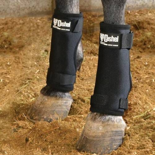 Cashel Stall Sore Boots