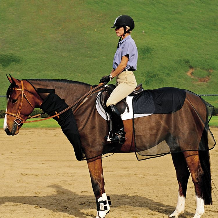 Cashel Quiet Ride Bug Armor - 2 Piece Set– MiniTack