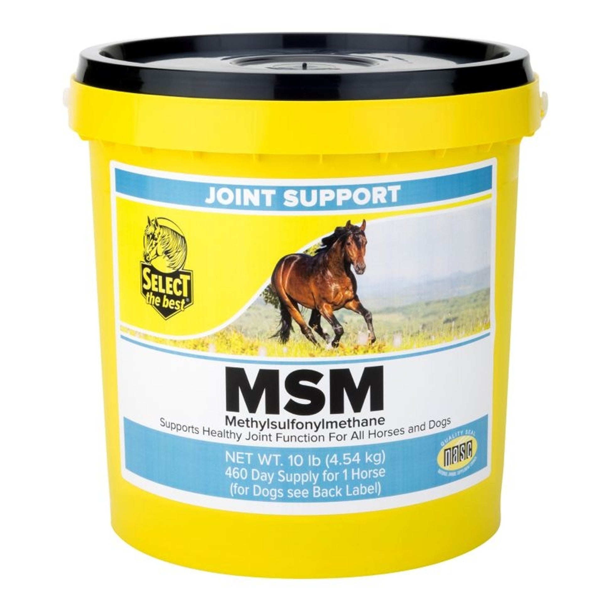 Select The Best MSM Joint Support for Horses