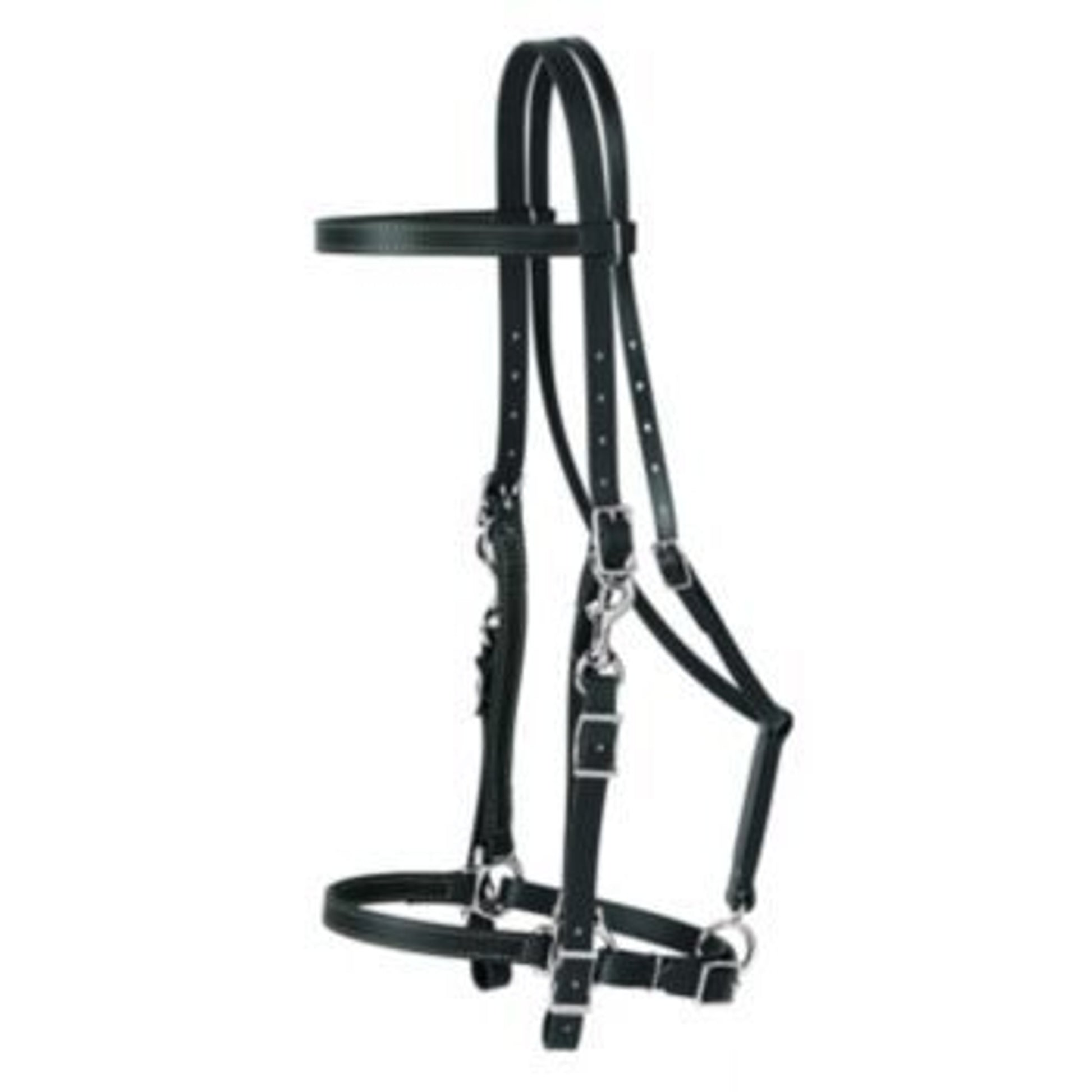 Weaver Brahma Synthetic Halter Bridle