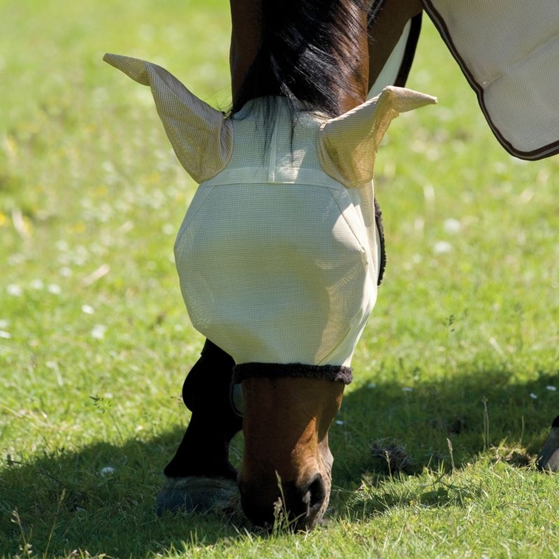 Amigo Fly Mask with Ears