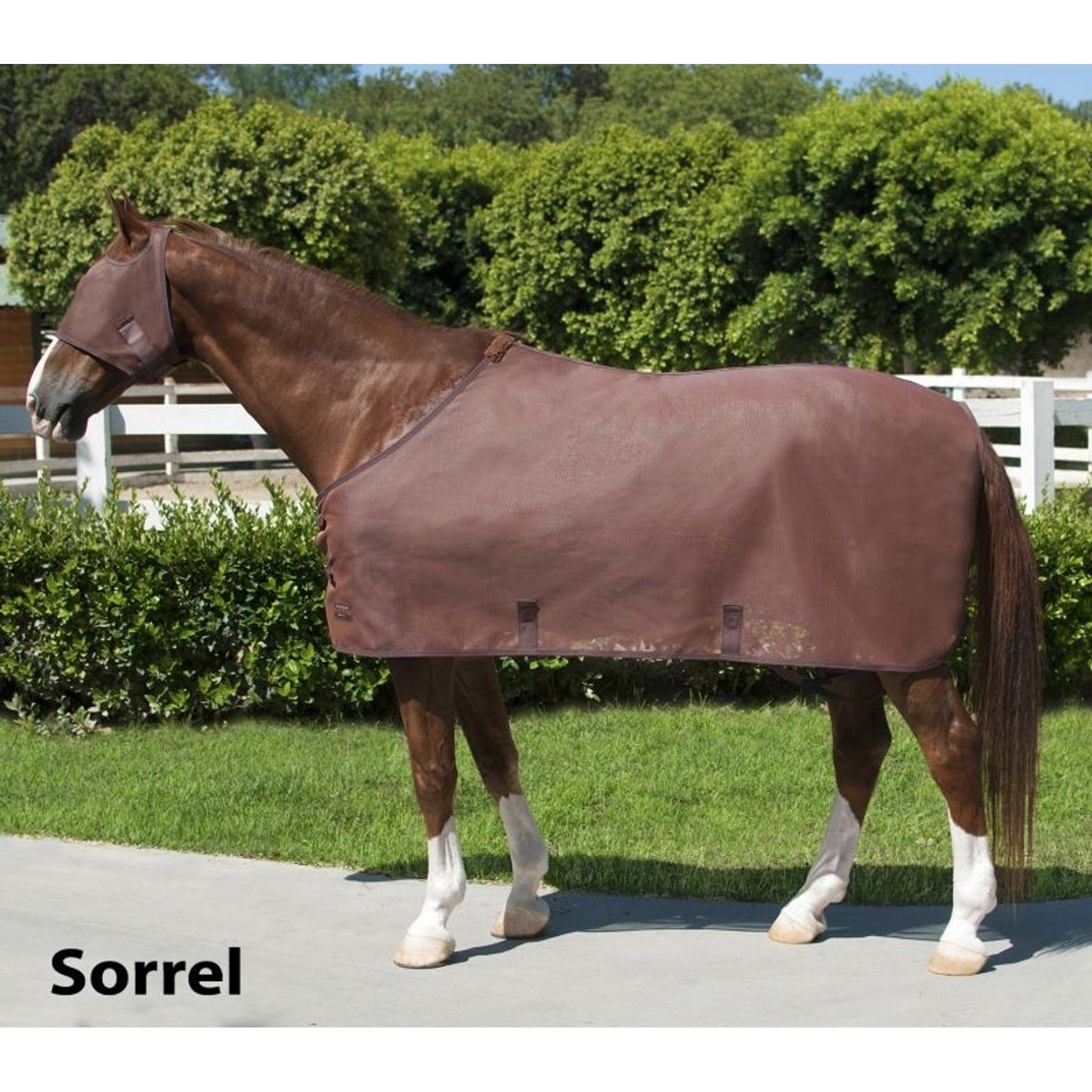 Kensington Natural Protective Fly Sheet