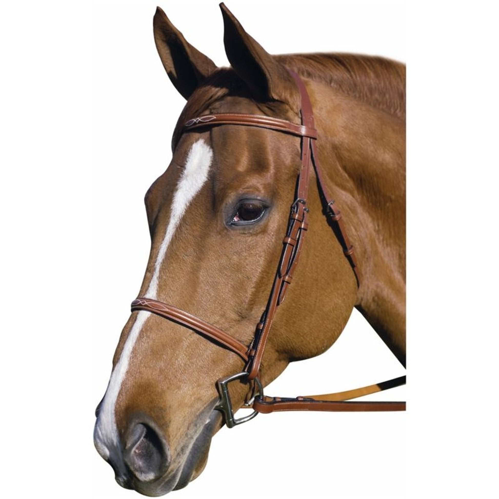 Henri De Rivel Fancy Raised Bridle