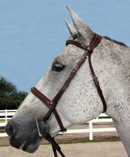 HDR Pro Stress Free Padded Bridle
