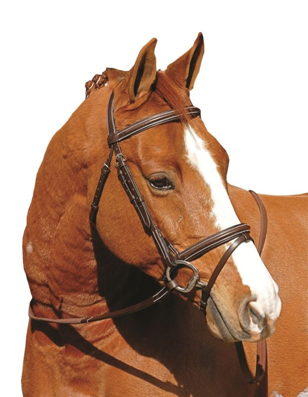 Henri De Rivel Monocrown Event Bridle