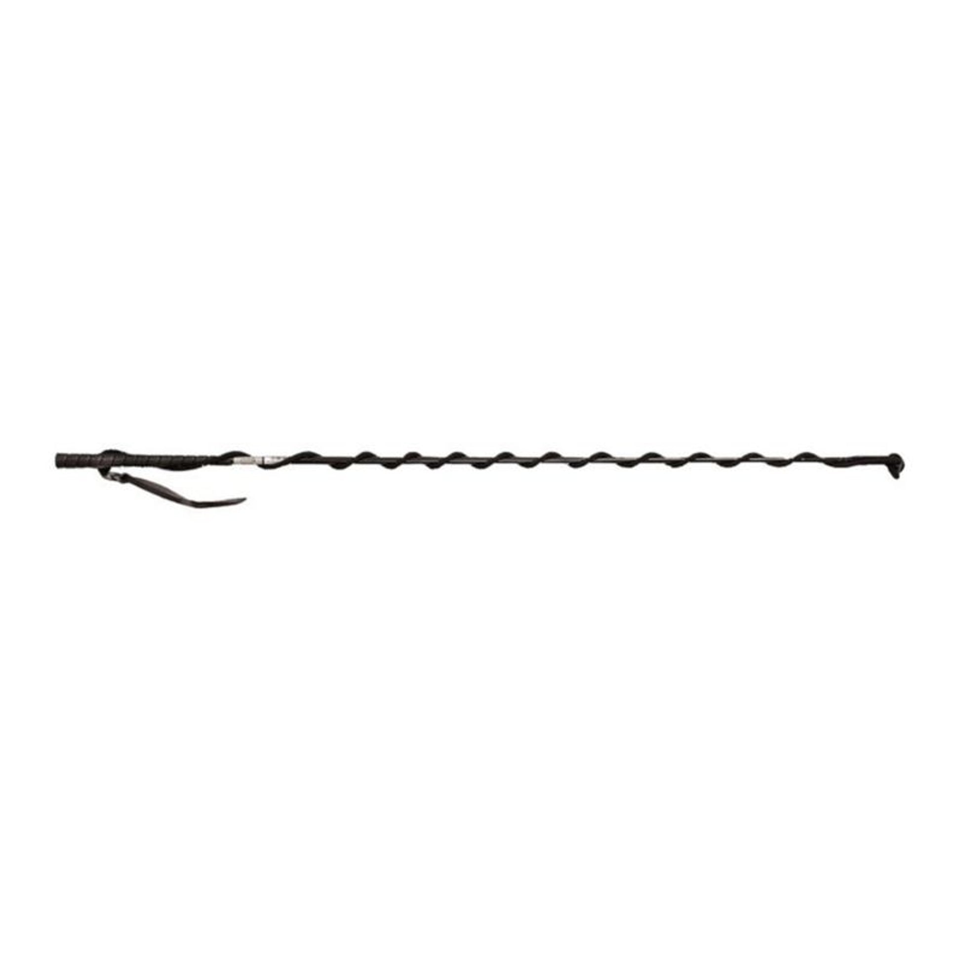 Clinician Stick Training Whip Youth