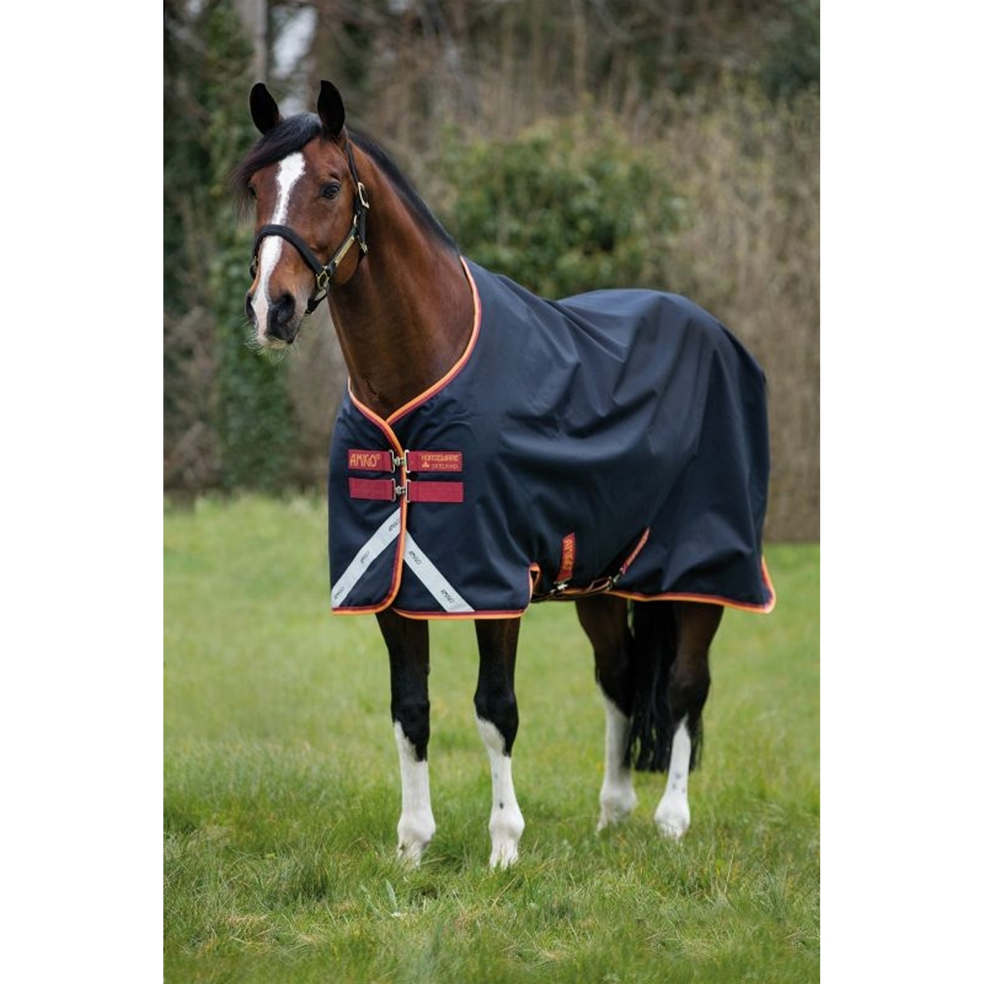 Amigo Bravo 12 Original Turnout 250g
