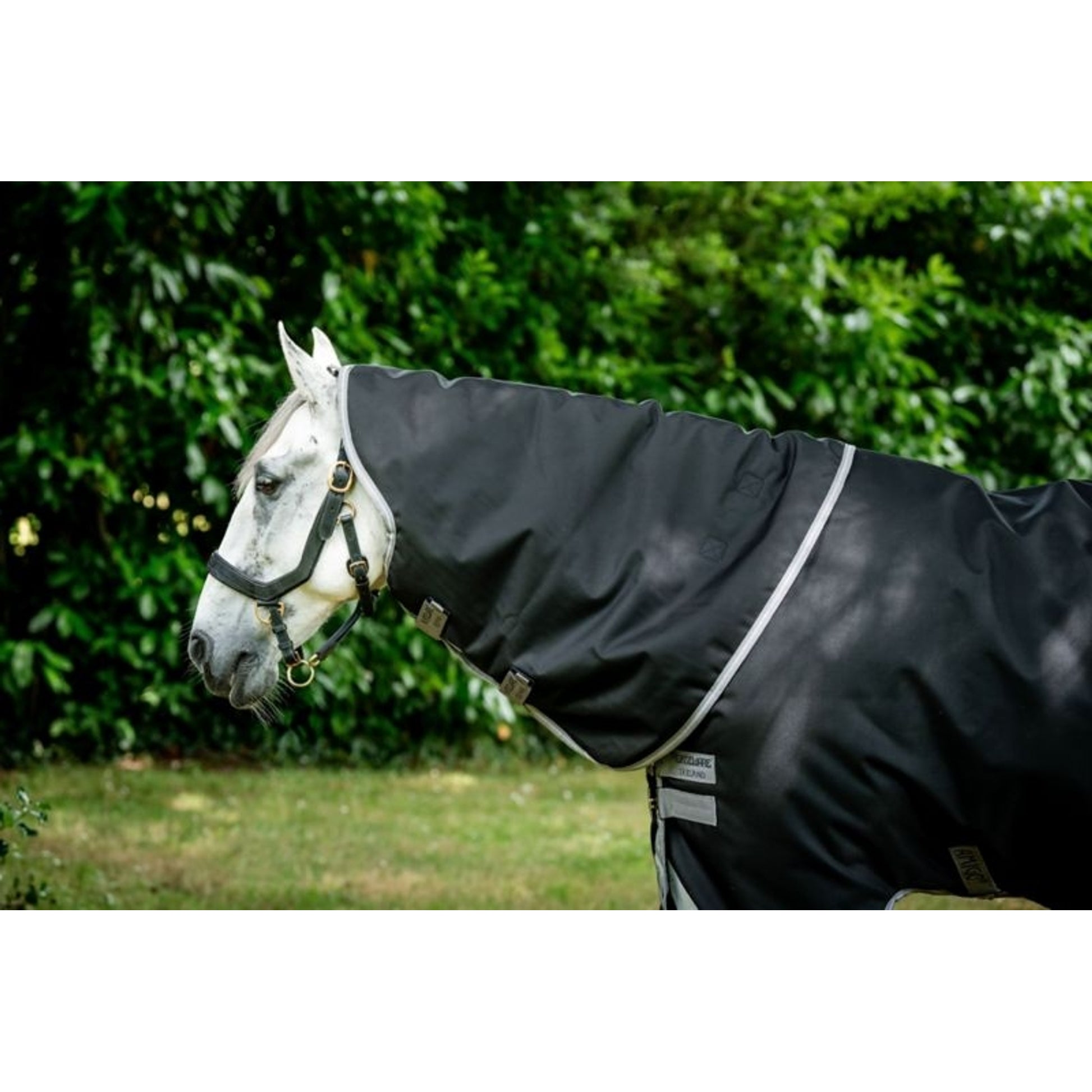 Amigo Bravo 12 Org Hood 150g