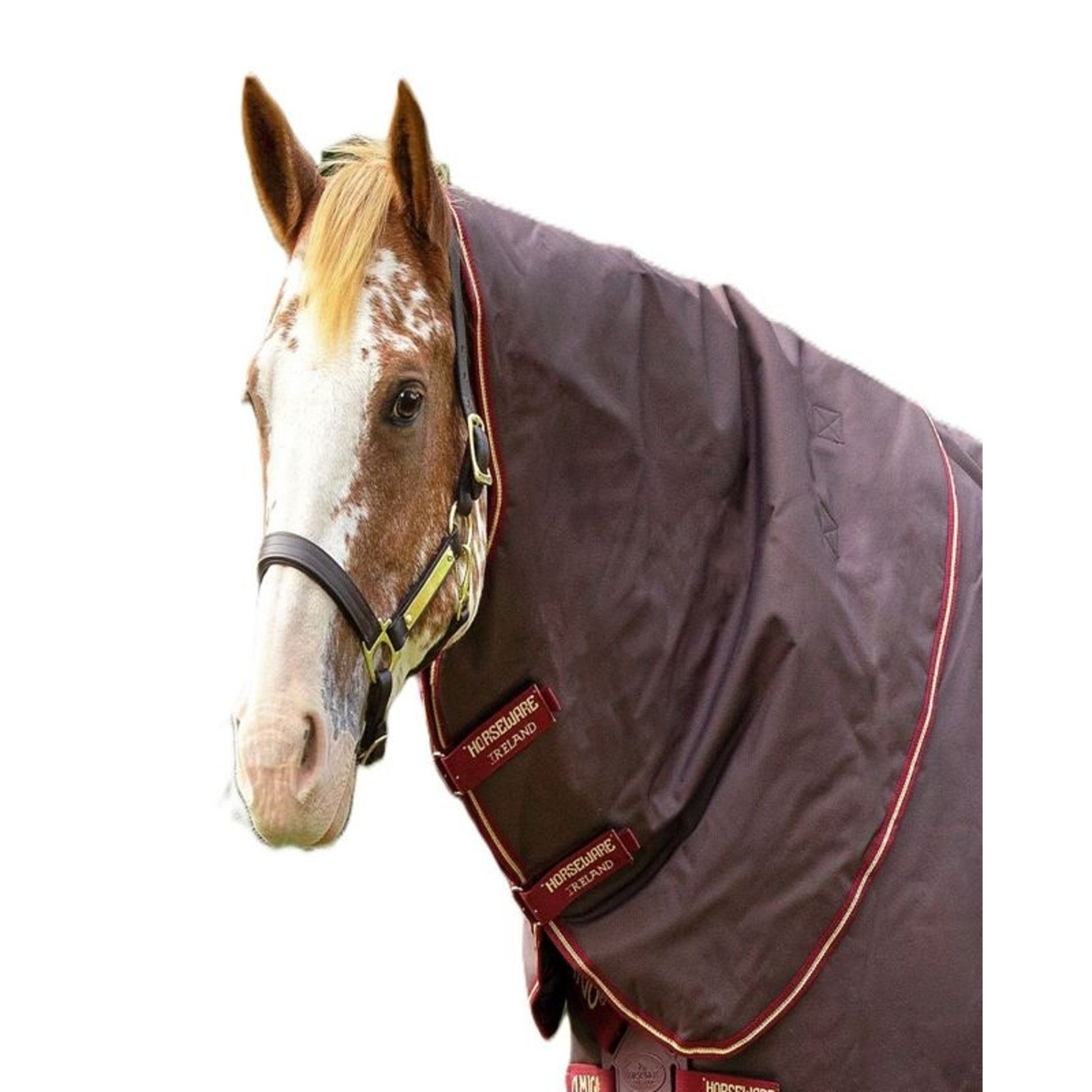 Amigo Bravo 12 Org Hood 150g