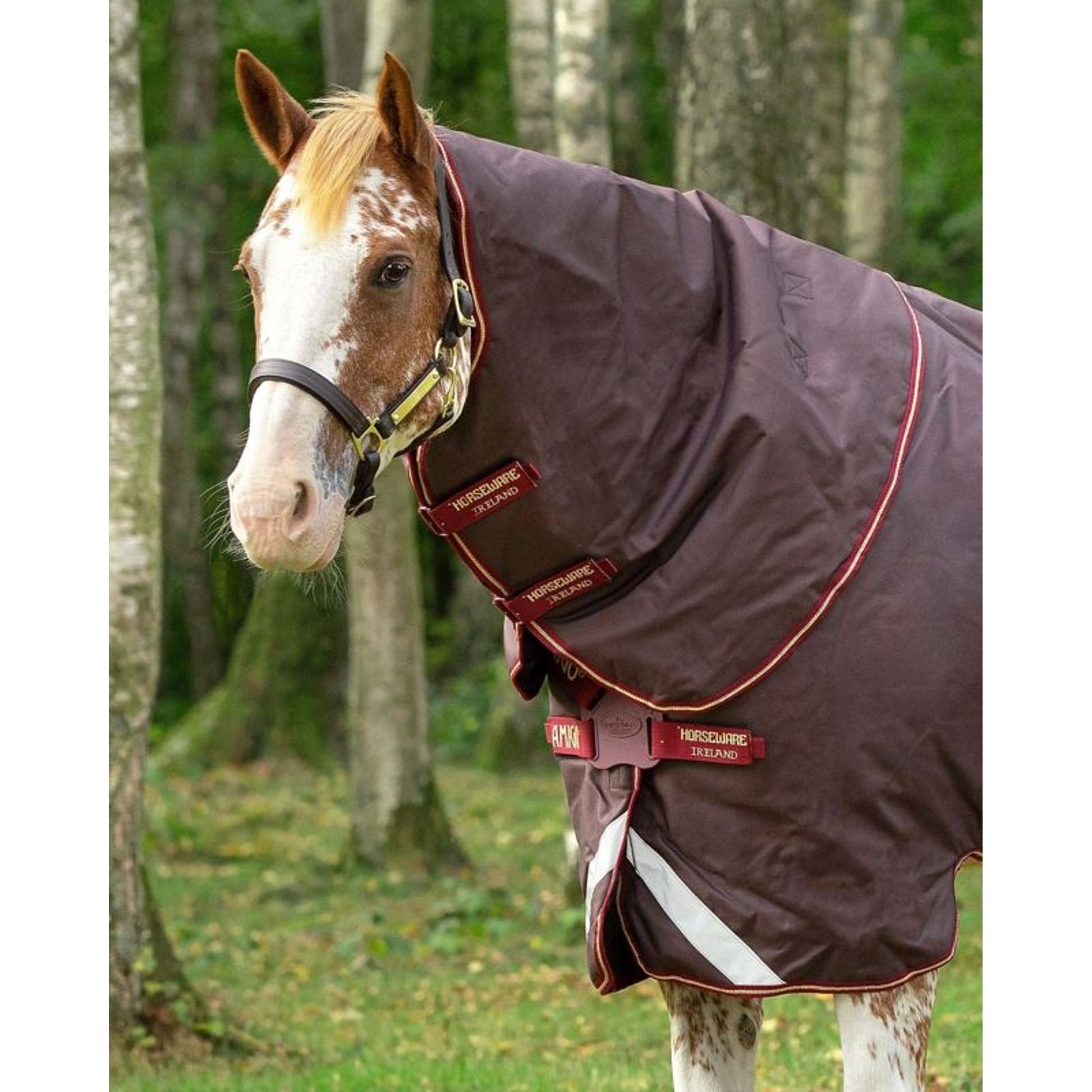 Amigo Bravo 12 Org Hood 150g