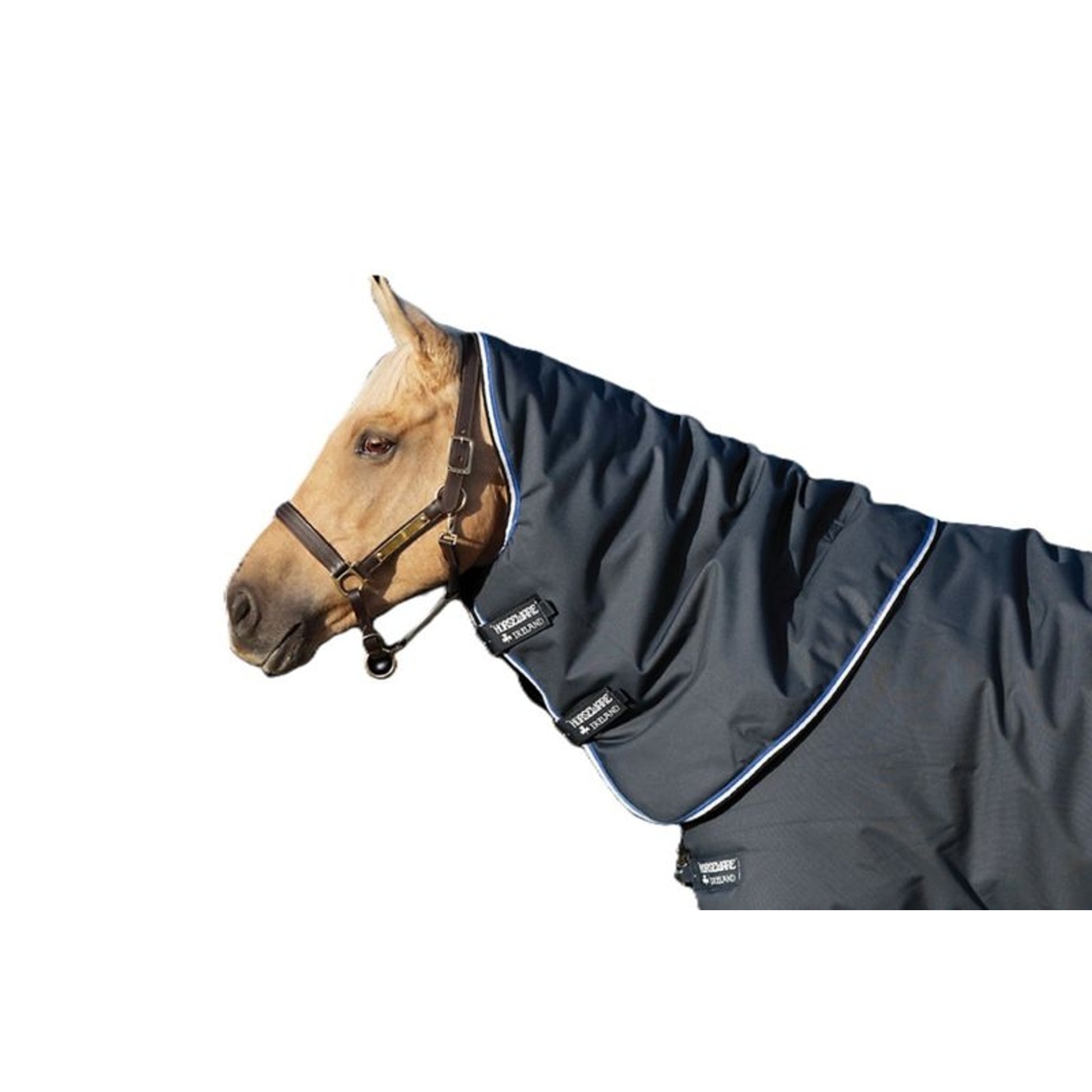 Amigo Bravo 12 Org Hood 150g